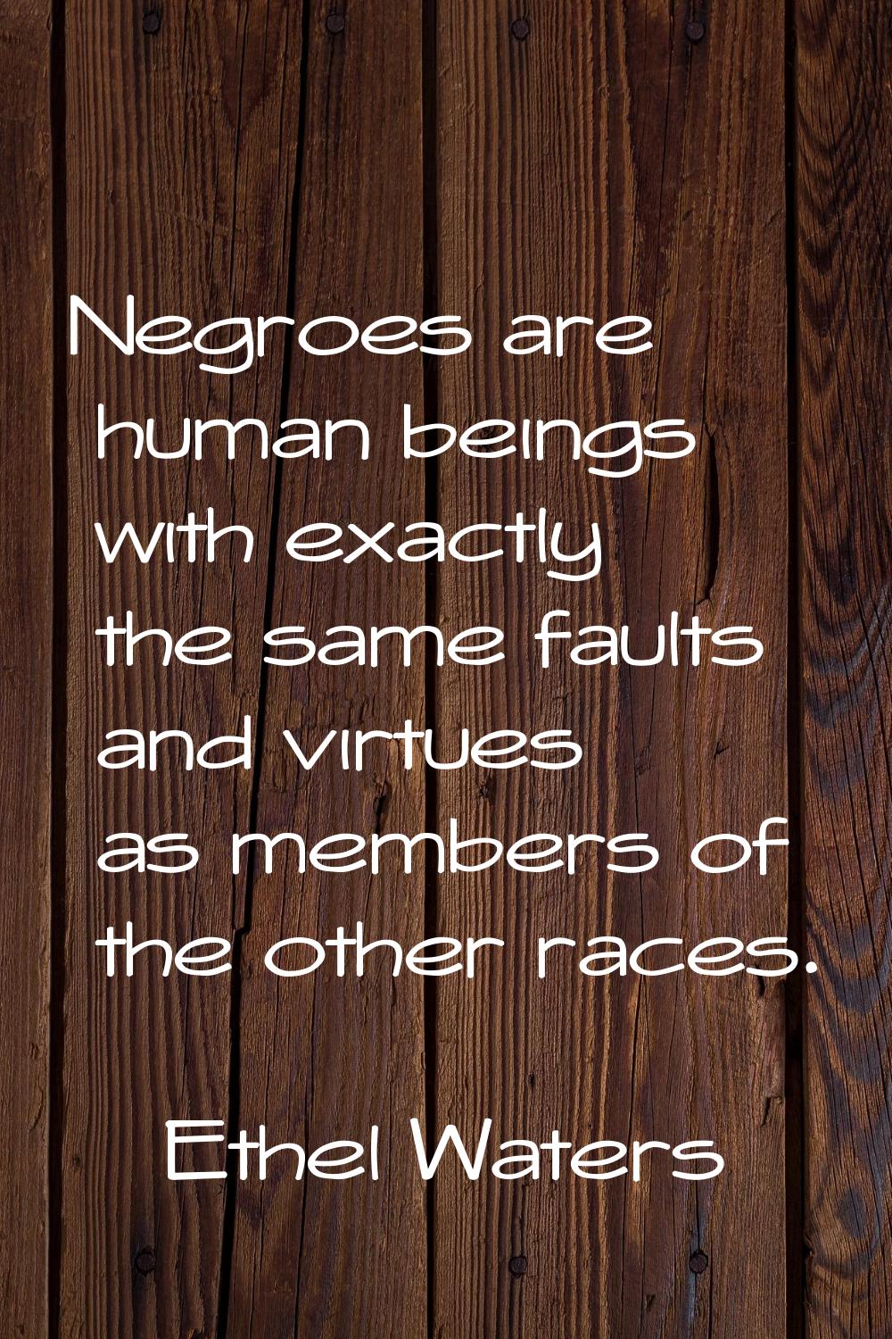 Negroes are human beings with exactly the same faults and virtues as members of the other races.