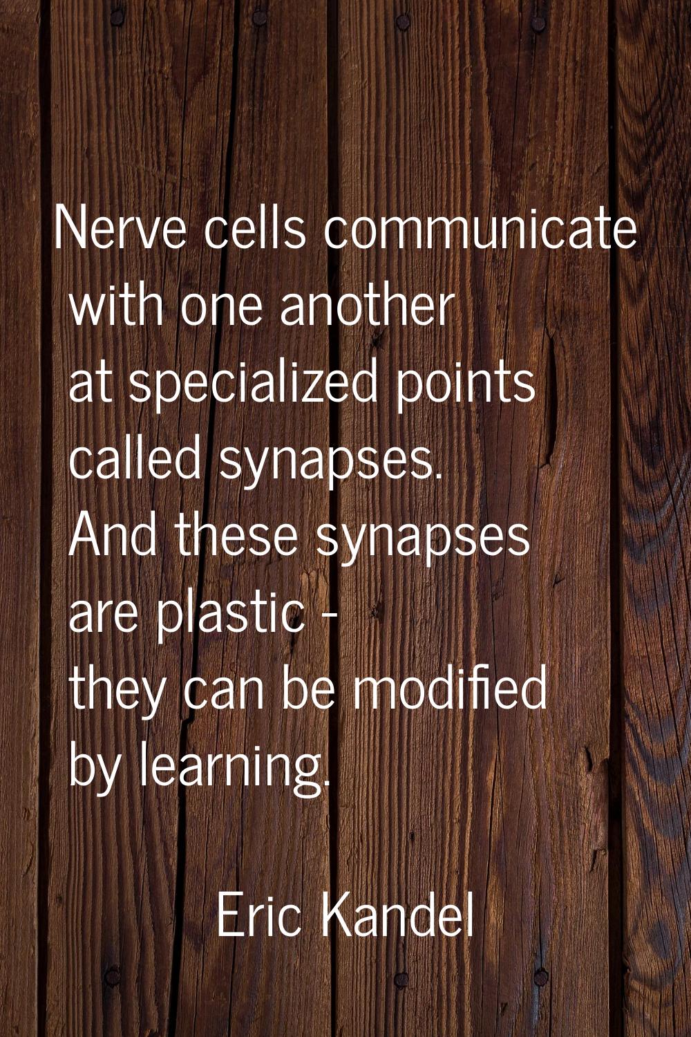 Nerve cells communicate with one another at specialized points called synapses. And these synapses 