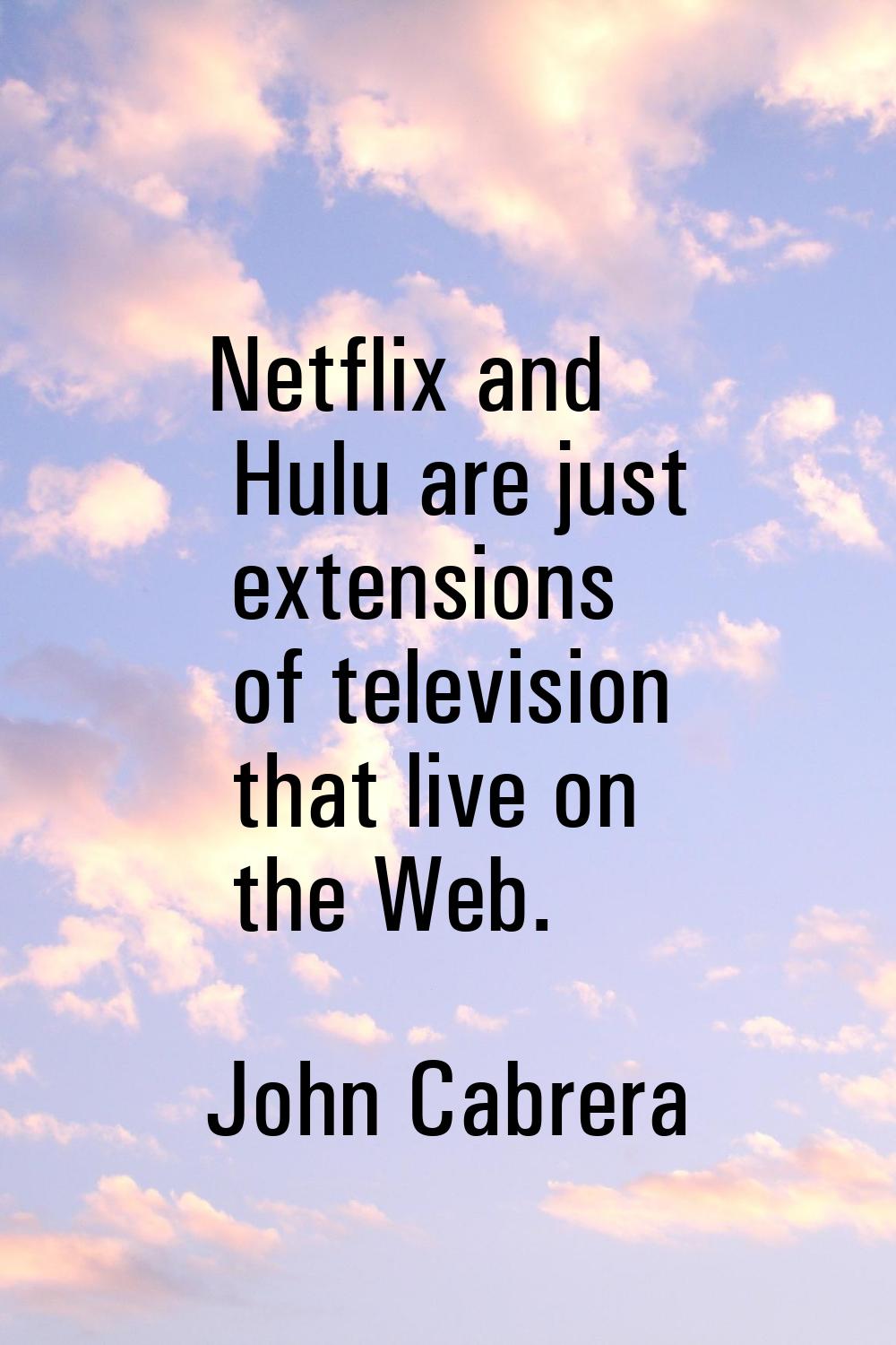 Netflix and Hulu are just extensions of television that live on the Web.