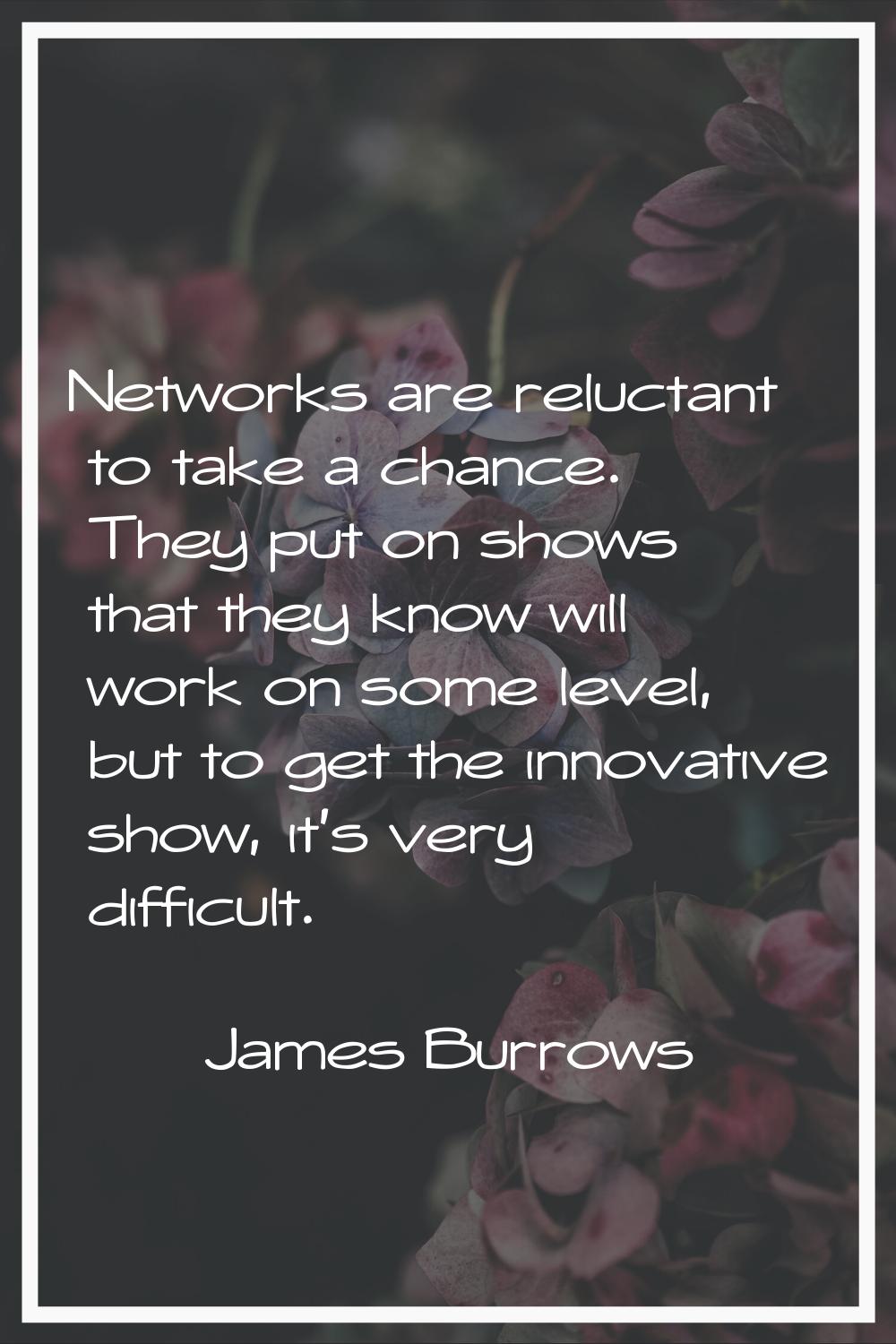 Networks are reluctant to take a chance. They put on shows that they know will work on some level, 