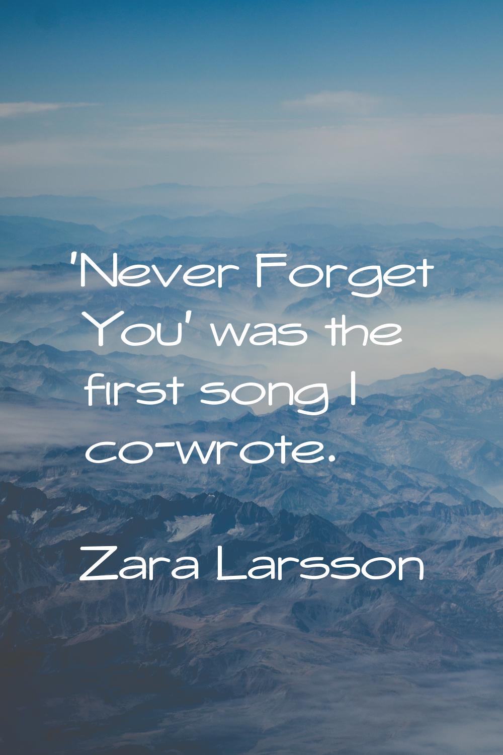 'Never Forget You' was the first song I co-wrote.