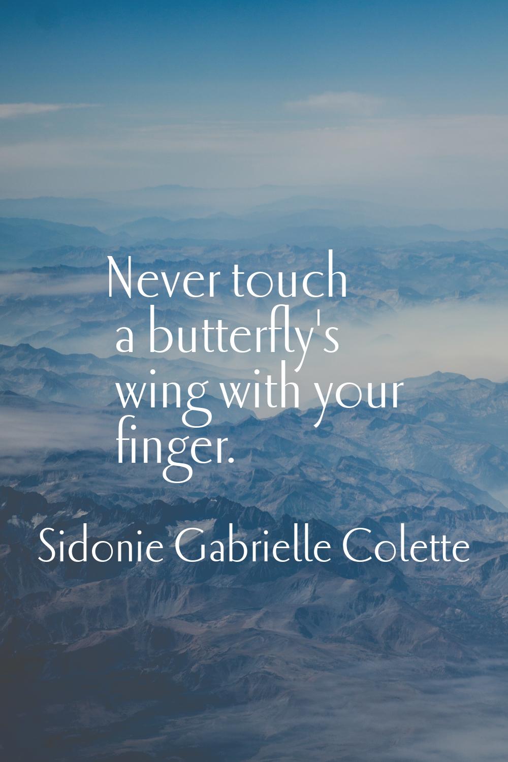 Never touch a butterfly's wing with your finger.