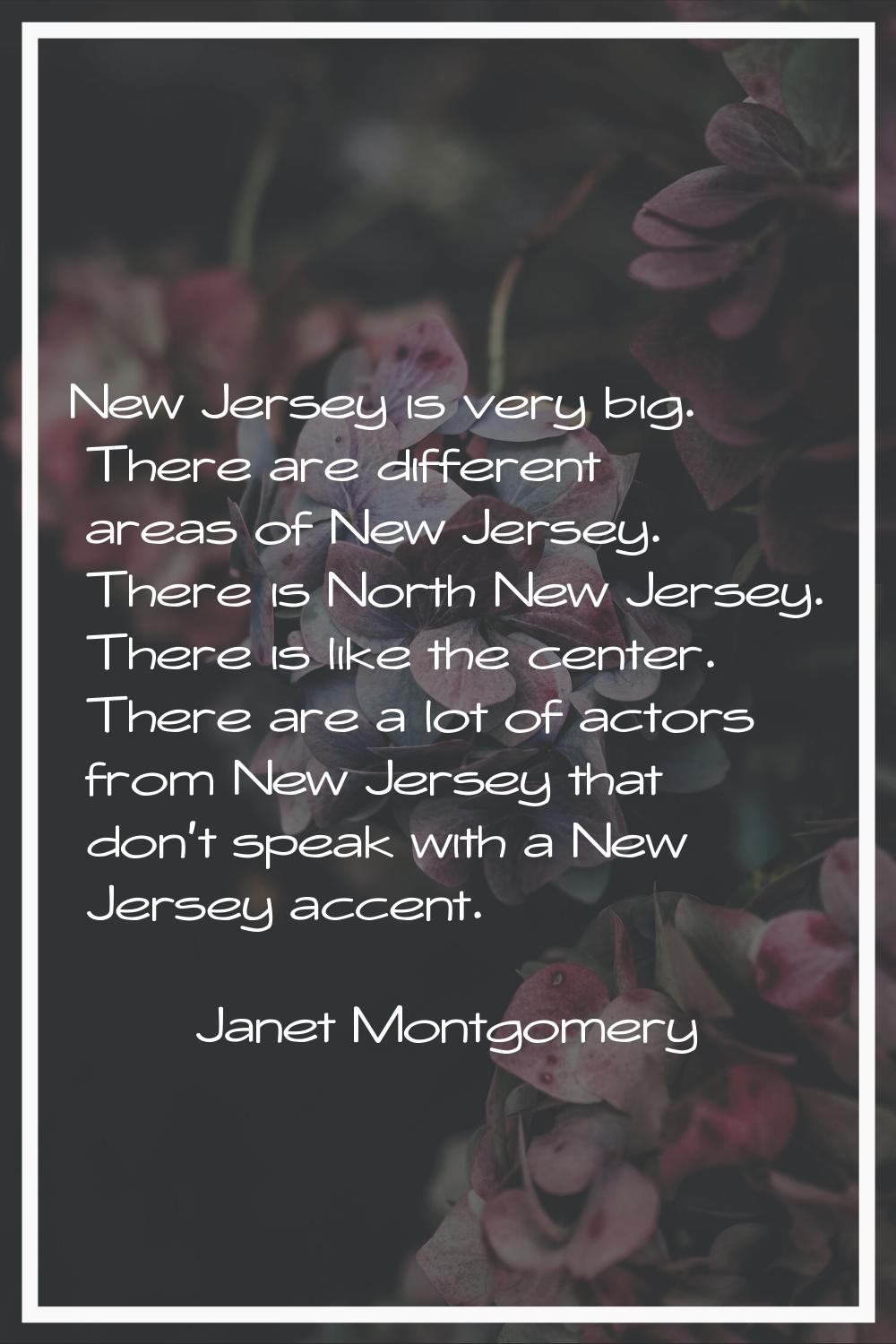 New Jersey is very big. There are different areas of New Jersey. There is North New Jersey. There i