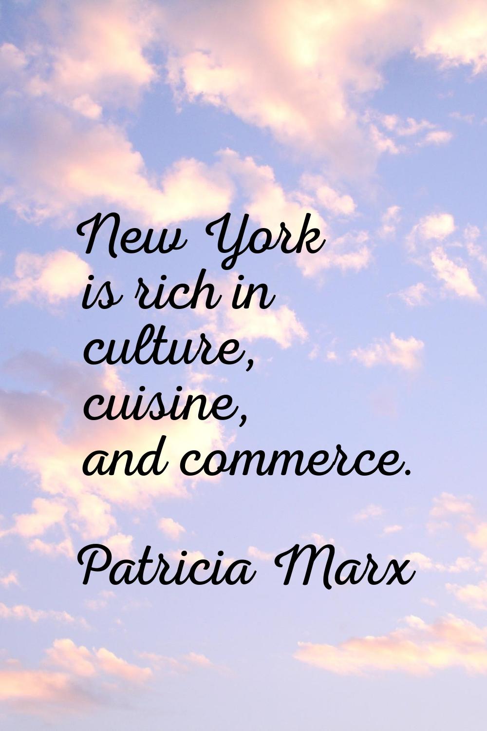 New York is rich in culture, cuisine, and commerce.