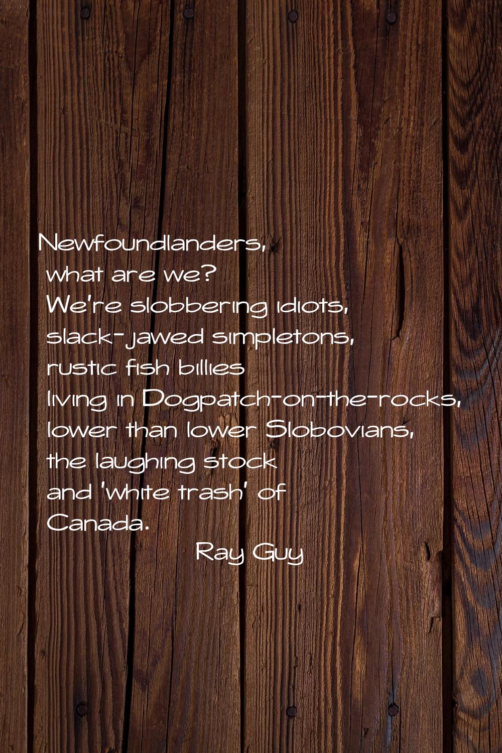 Newfoundlanders, what are we? We're slobbering idiots, slack-jawed simpletons, rustic fish billies 