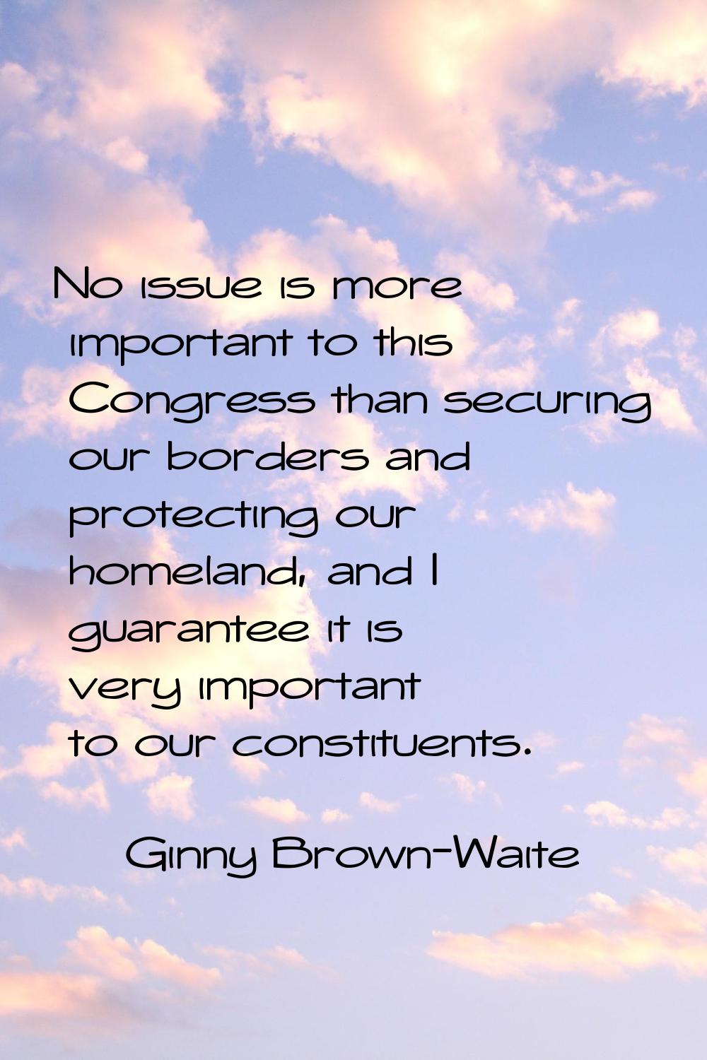 No issue is more important to this Congress than securing our borders and protecting our homeland, 