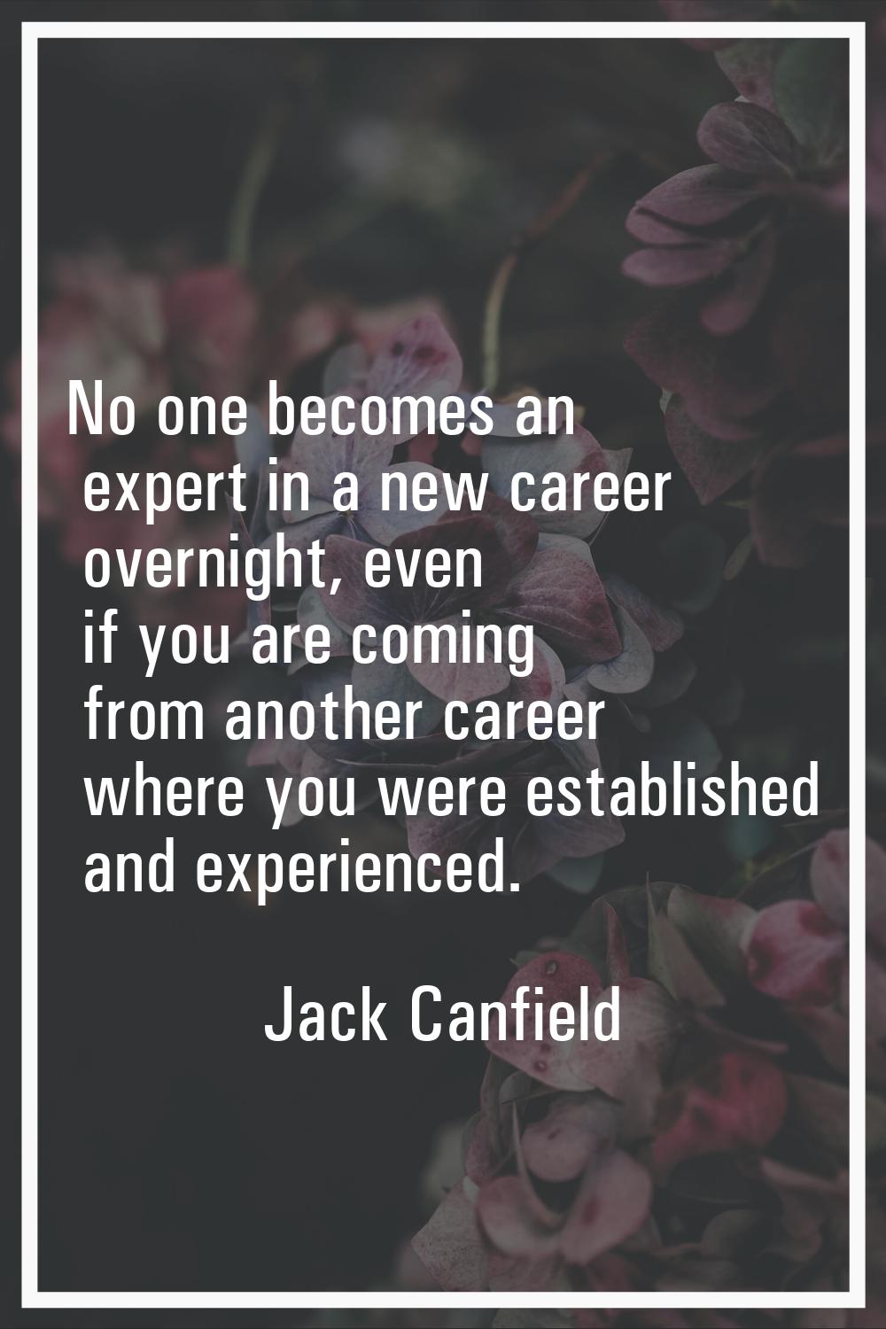 No one becomes an expert in a new career overnight, even if you are coming from another career wher