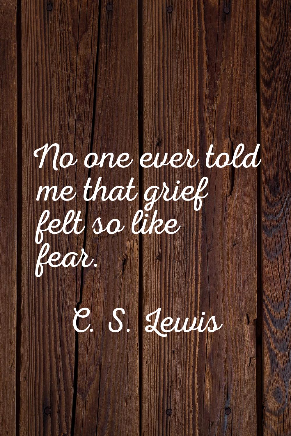 No one ever told me that grief felt so like fear.