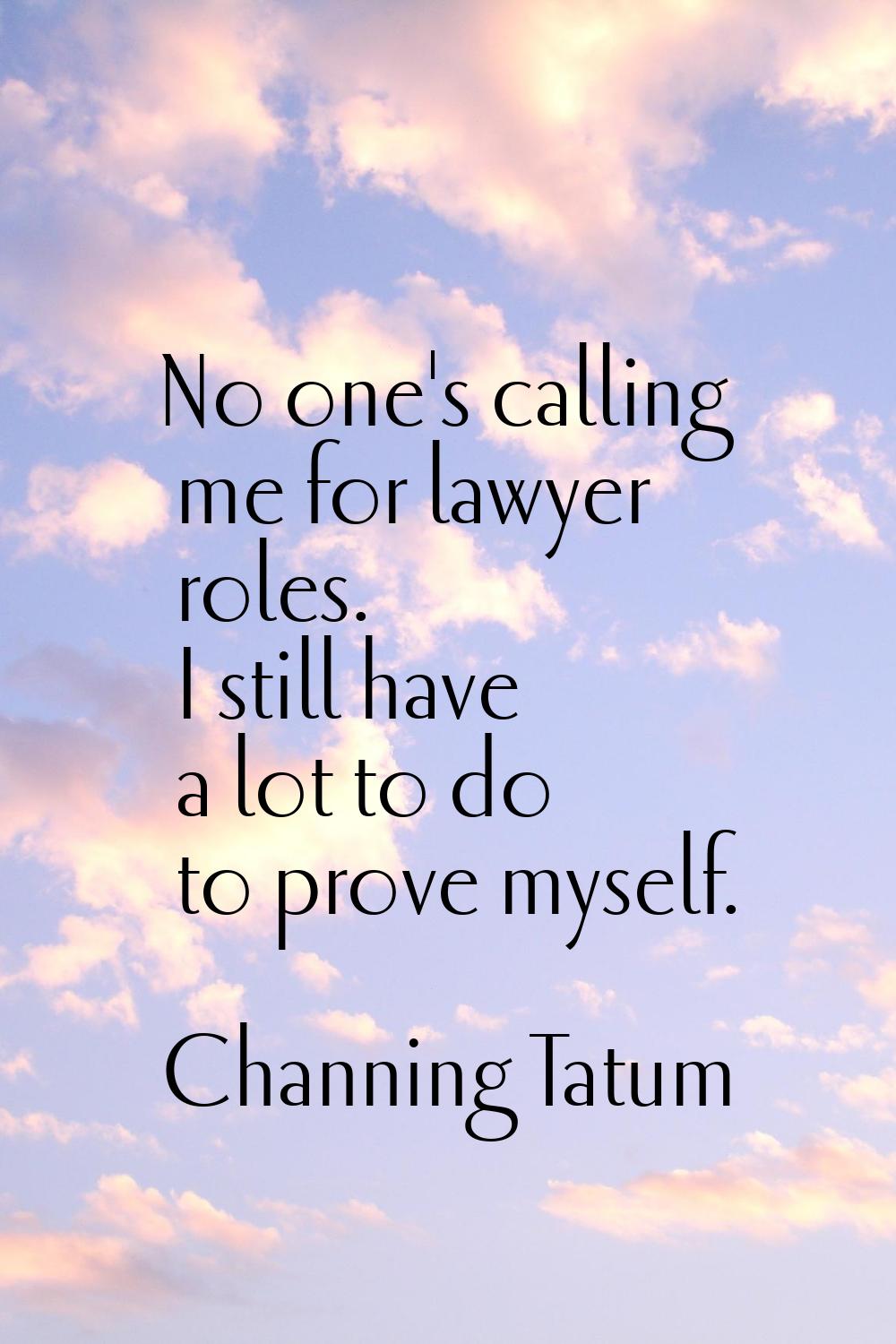No one's calling me for lawyer roles. I still have a lot to do to prove myself.