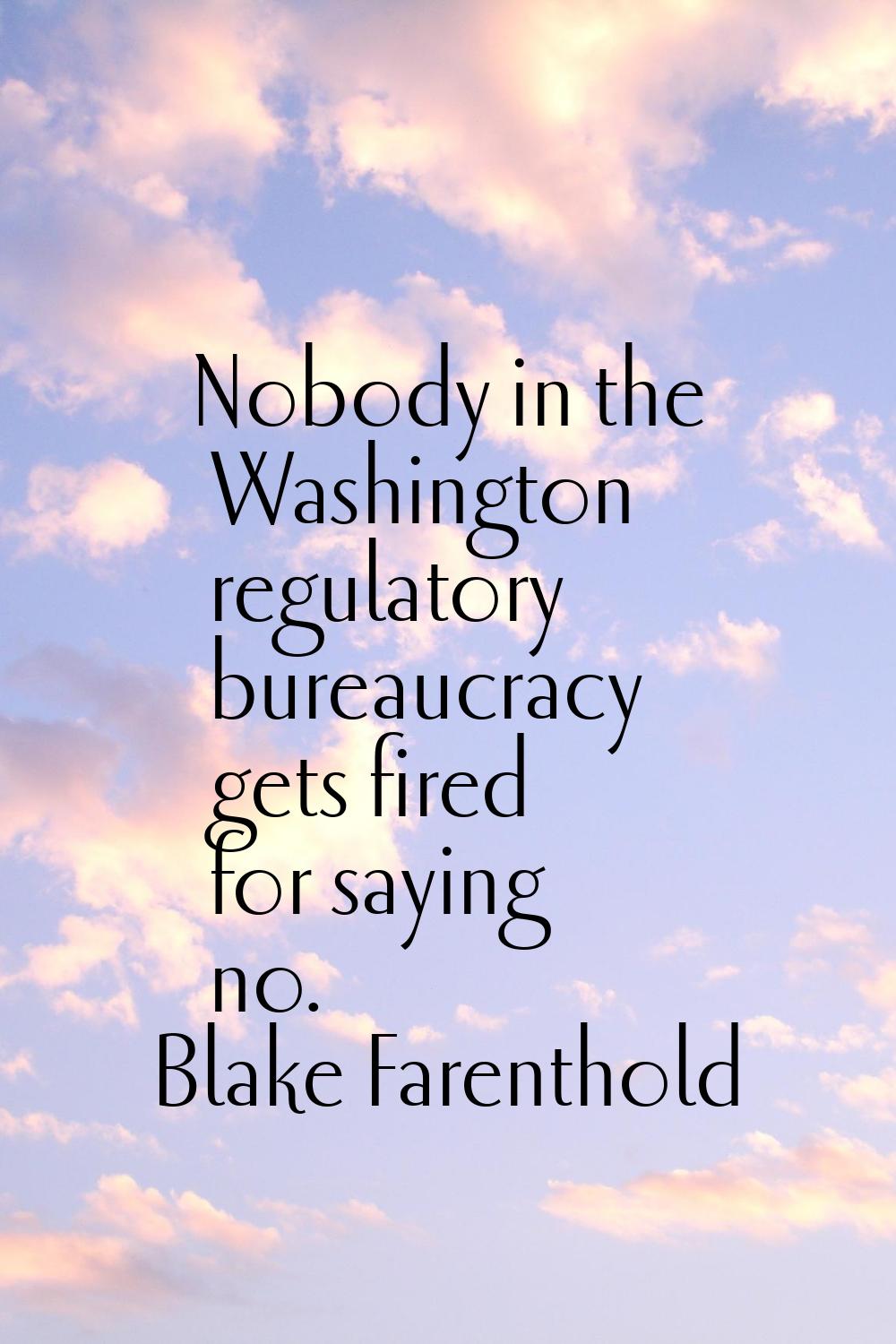 Nobody in the Washington regulatory bureaucracy gets fired for saying no.