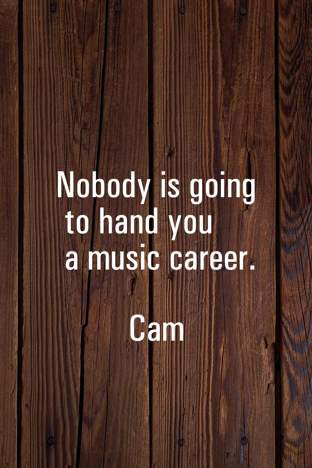 Nobody is going to hand you a music career.