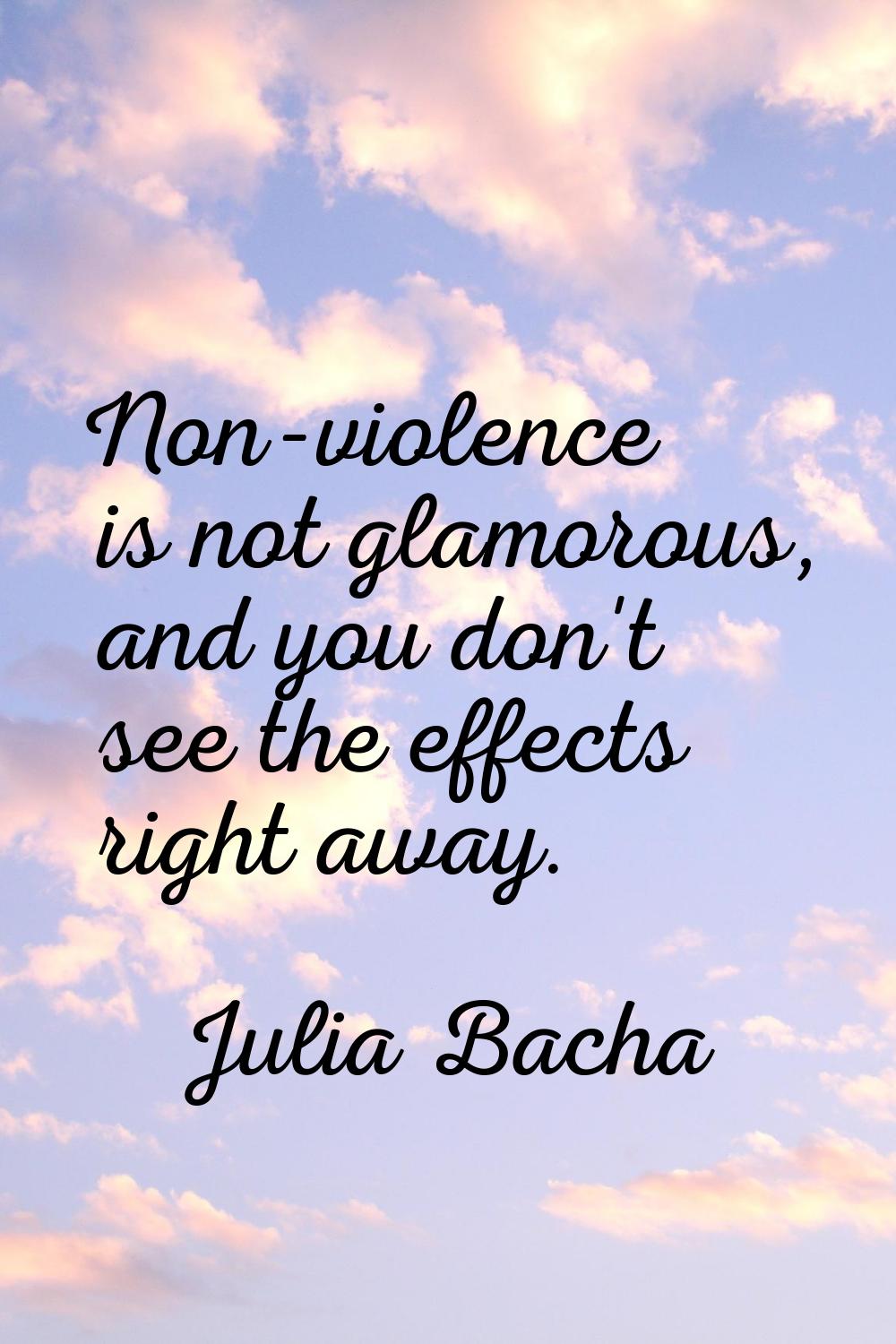 Non-violence is not glamorous, and you don't see the effects right away.