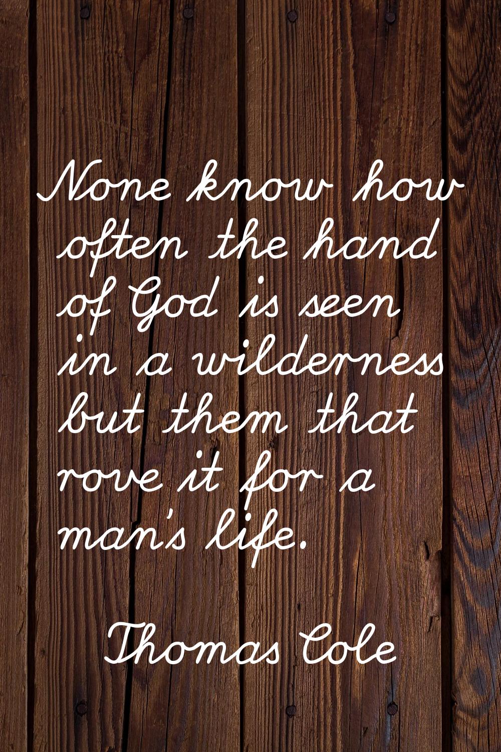 None know how often the hand of God is seen in a wilderness but them that rove it for a man's life.