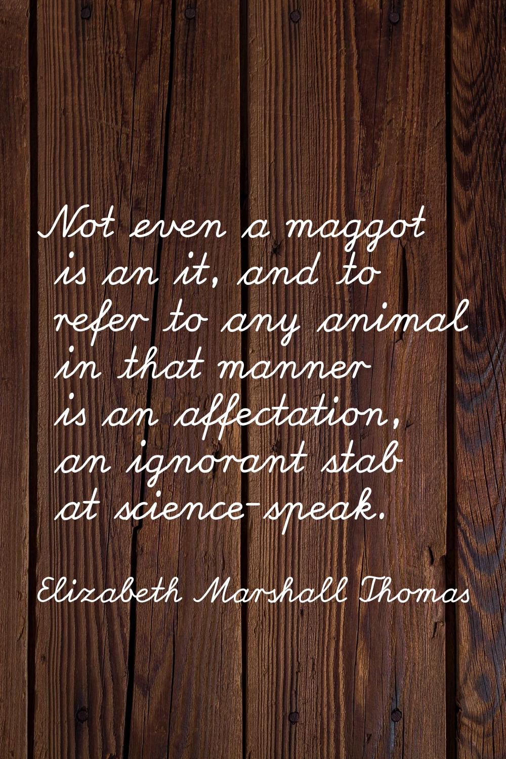 Not even a maggot is an it, and to refer to any animal in that manner is an affectation, an ignoran