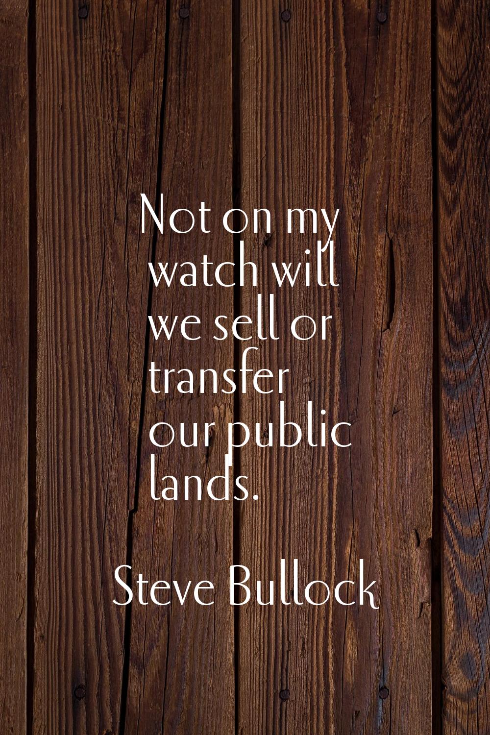 Not on my watch will we sell or transfer our public lands.