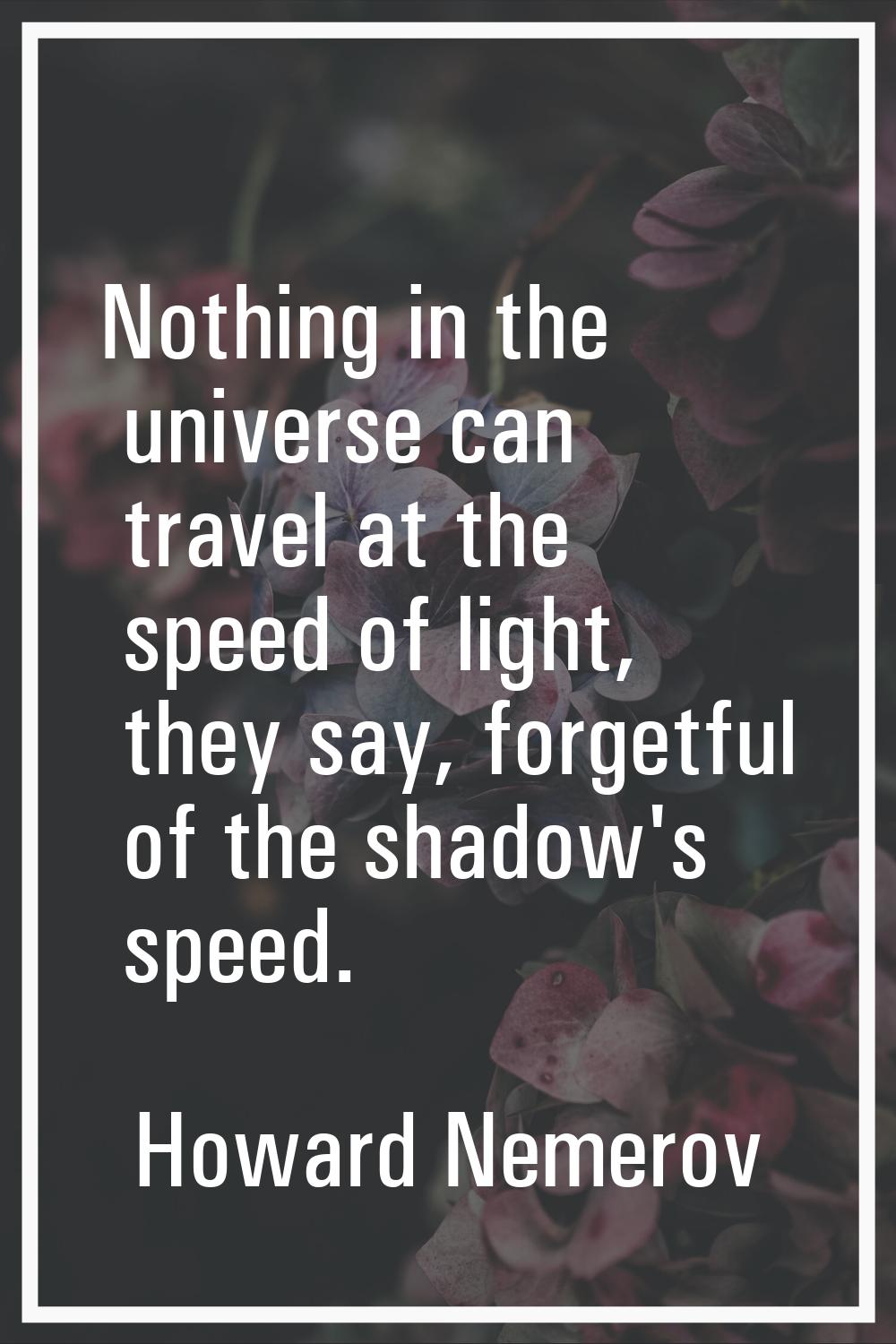 Nothing in the universe can travel at the speed of light, they say, forgetful of the shadow's speed