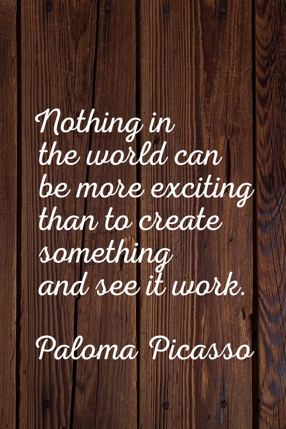 Nothing in the world can be more exciting than to create something and see it work.