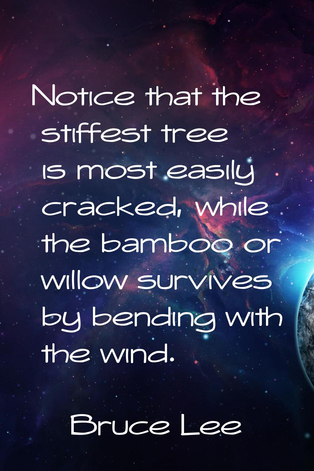 Notice that the stiffest tree is most easily cracked, while the bamboo or willow survives by bendin