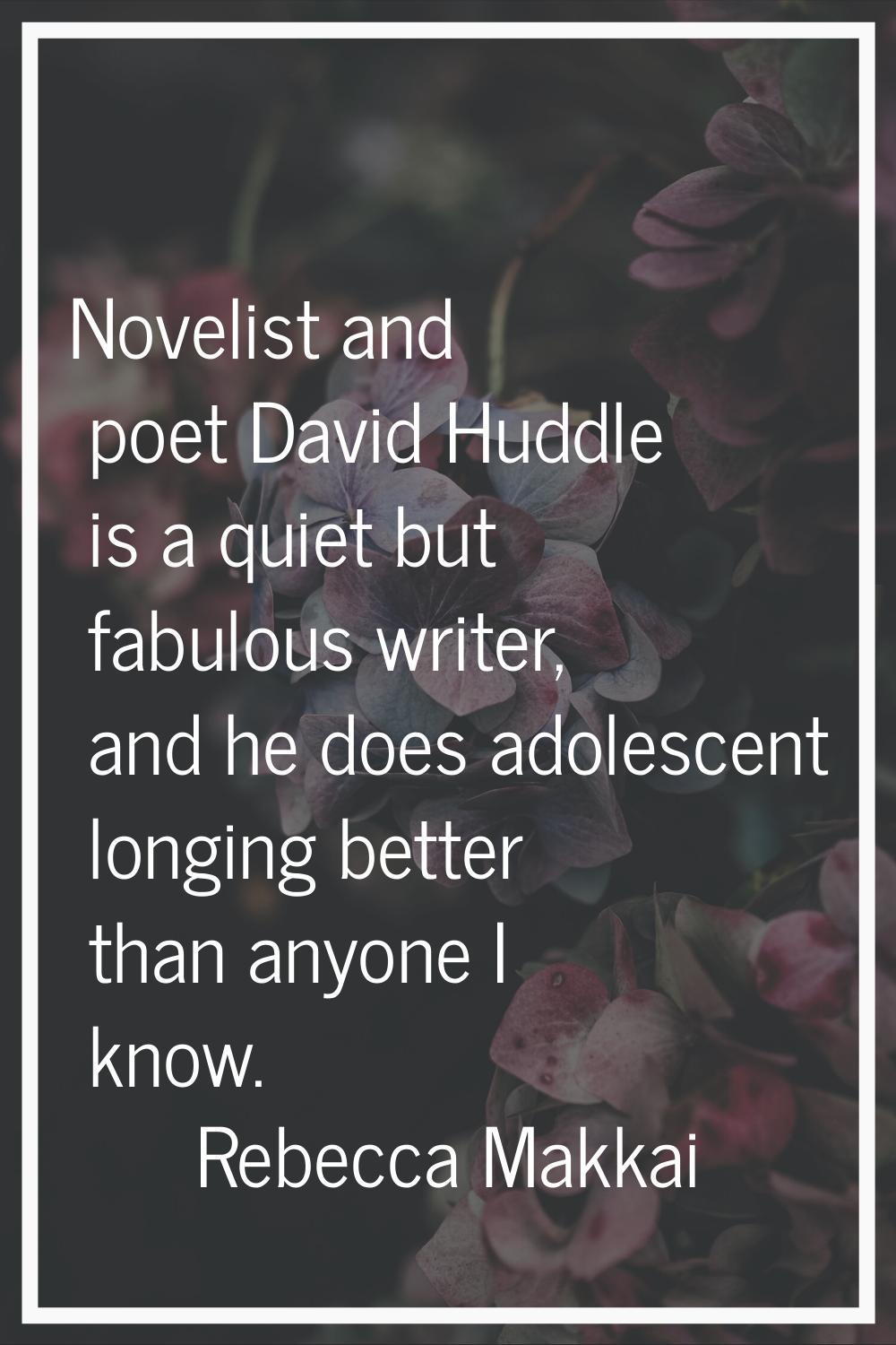 Novelist and poet David Huddle is a quiet but fabulous writer, and he does adolescent longing bette