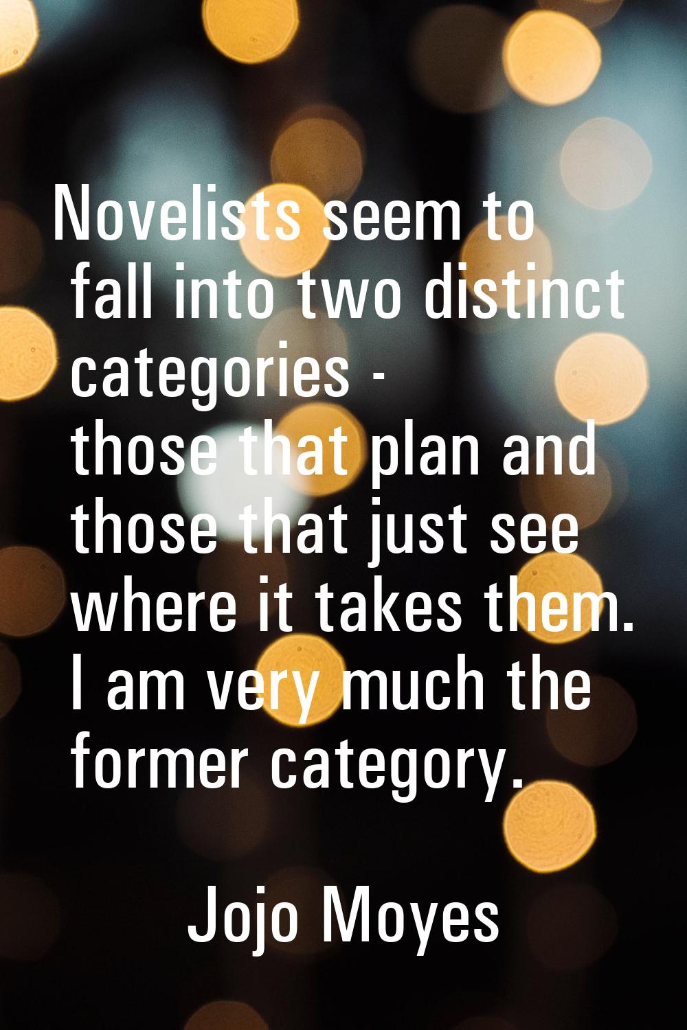 Novelists seem to fall into two distinct categories - those that plan and those that just see where