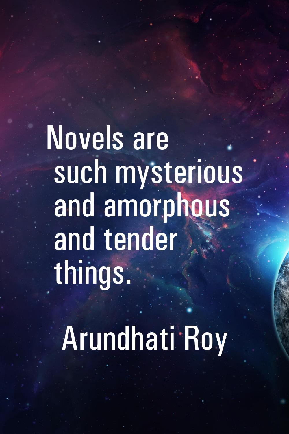 Novels are such mysterious and amorphous and tender things.