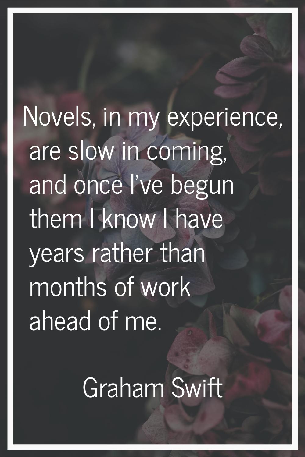 Novels, in my experience, are slow in coming, and once I've begun them I know I have years rather t