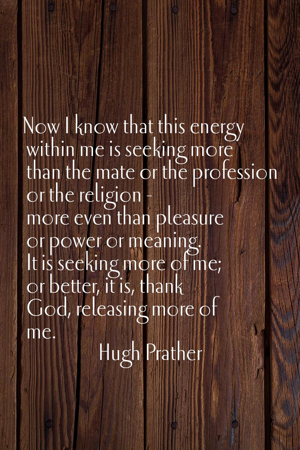 Now I know that this energy within me is seeking more than the mate or the profession or the religi