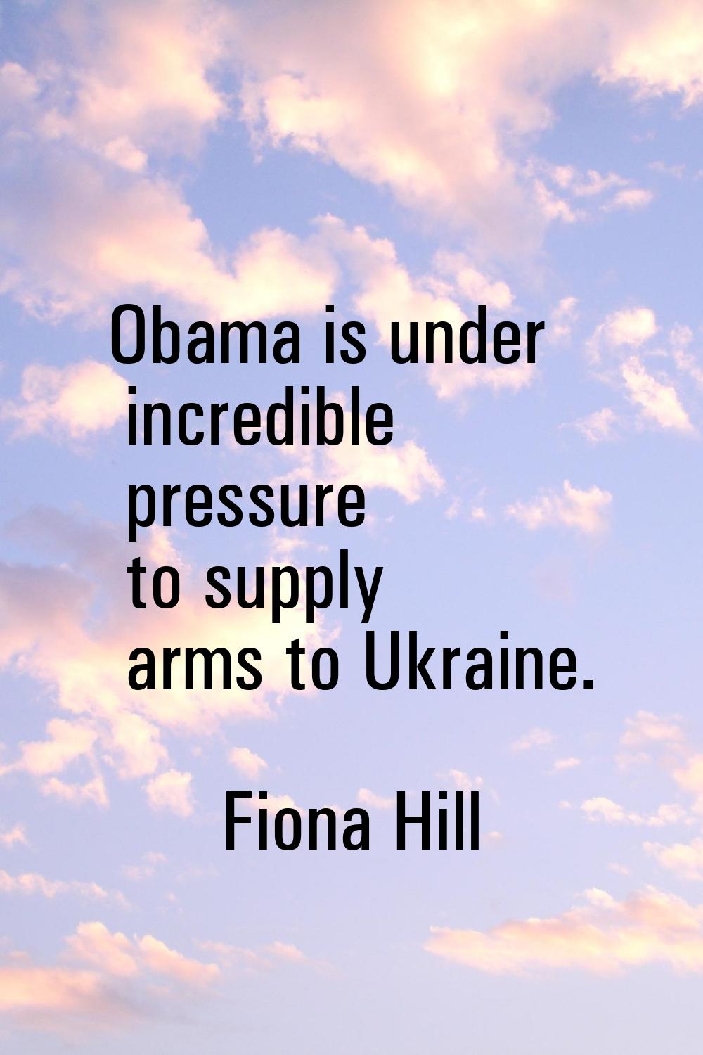 Obama is under incredible pressure to supply arms to Ukraine.