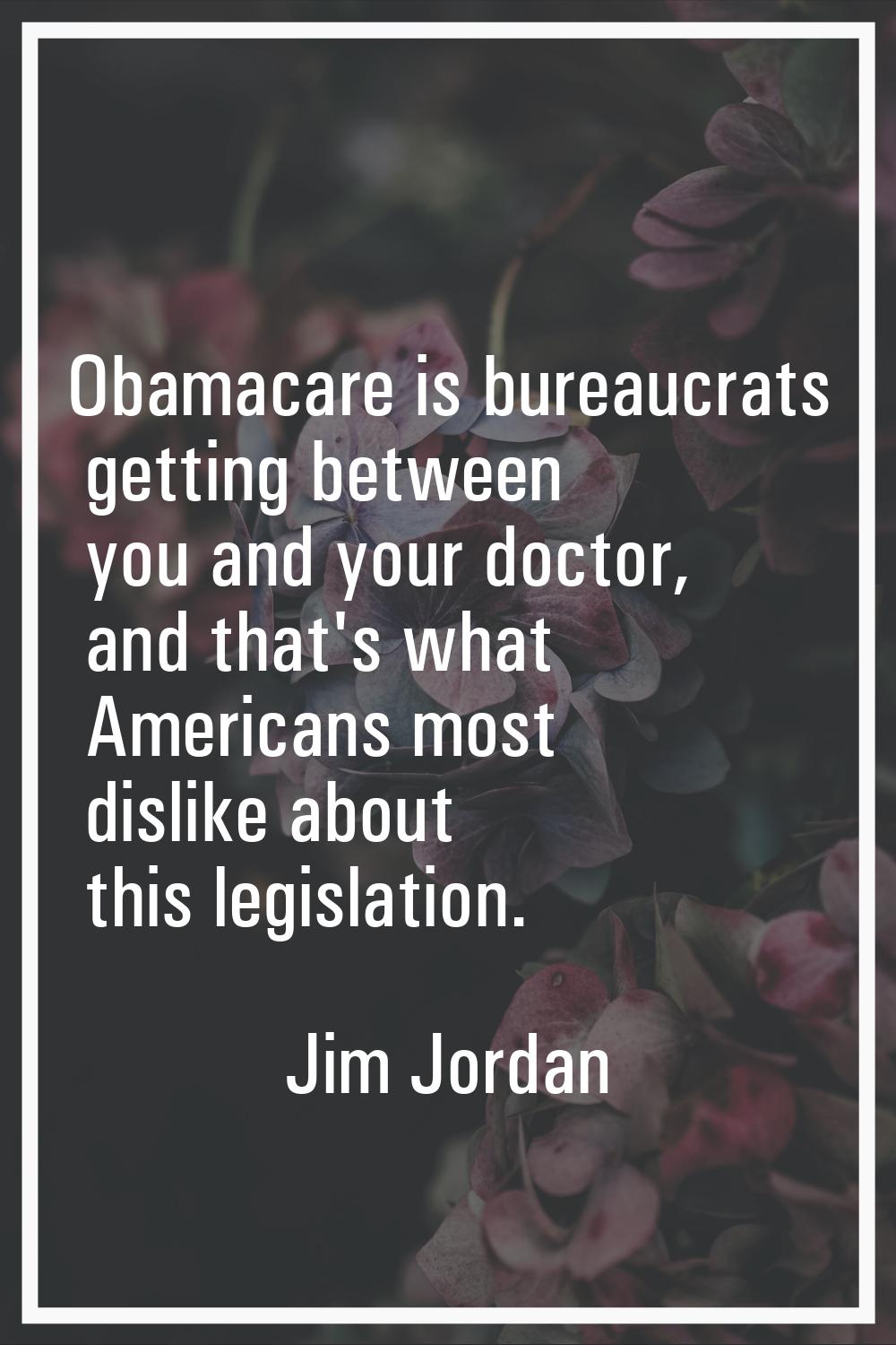 Obamacare is bureaucrats getting between you and your doctor, and that's what Americans most dislik