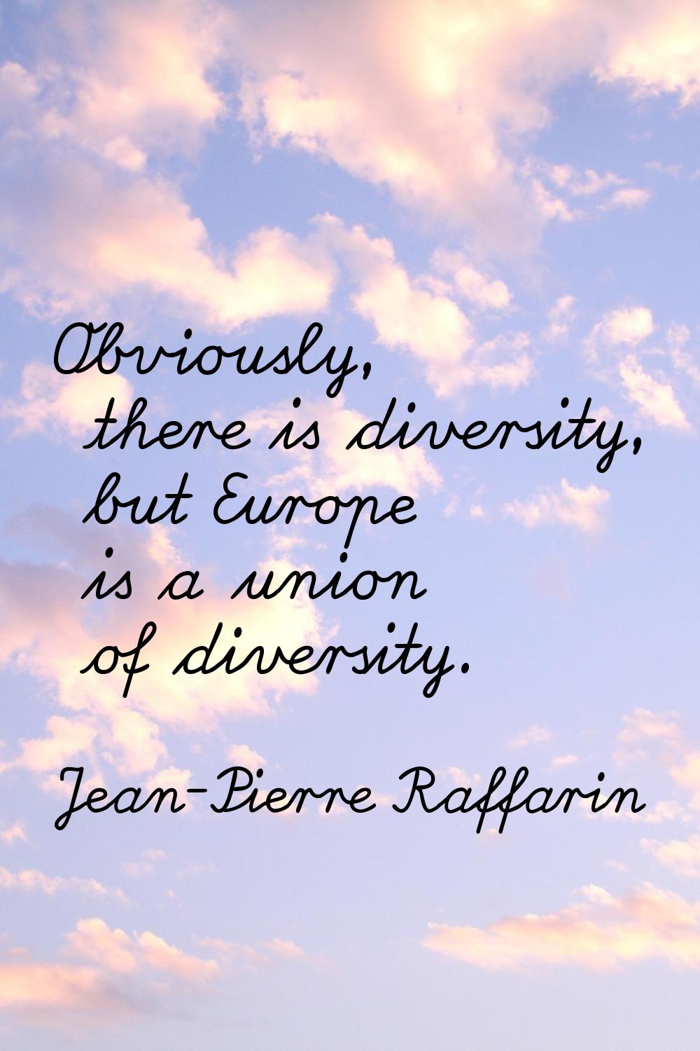 Obviously, there is diversity, but Europe is a union of diversity.