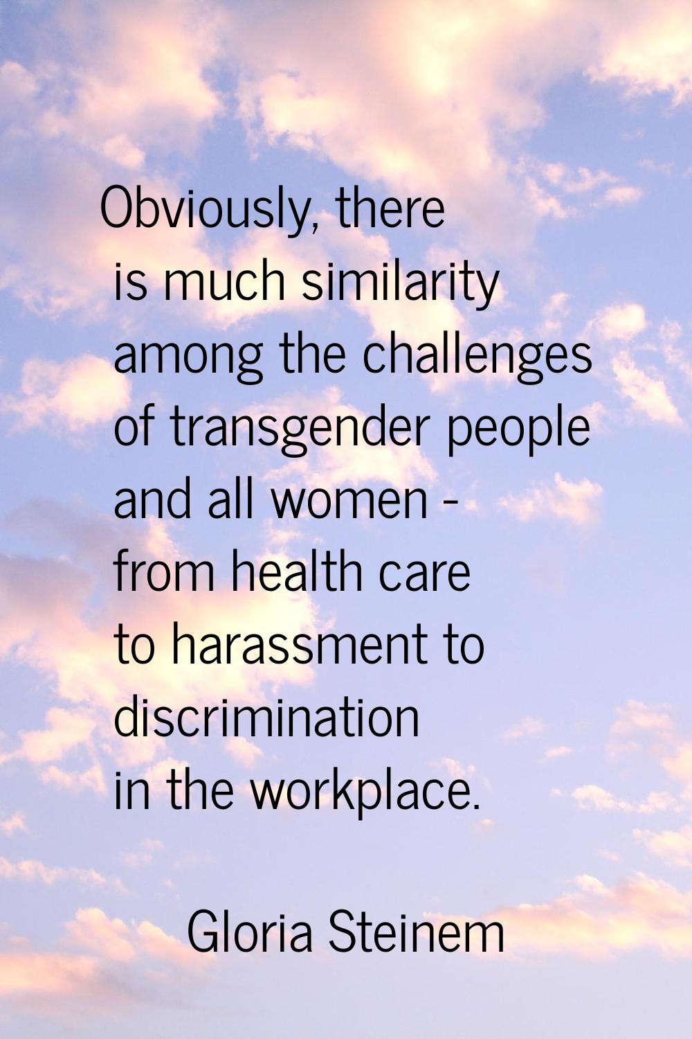 Obviously, there is much similarity among the challenges of transgender people and all women - from