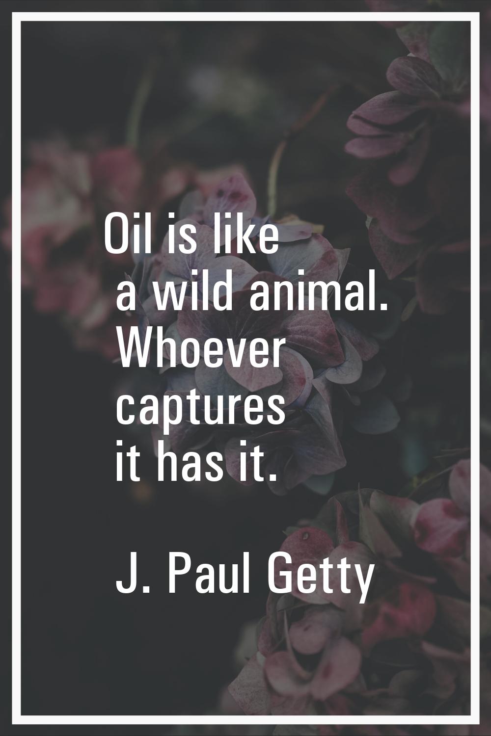 Oil is like a wild animal. Whoever captures it has it.