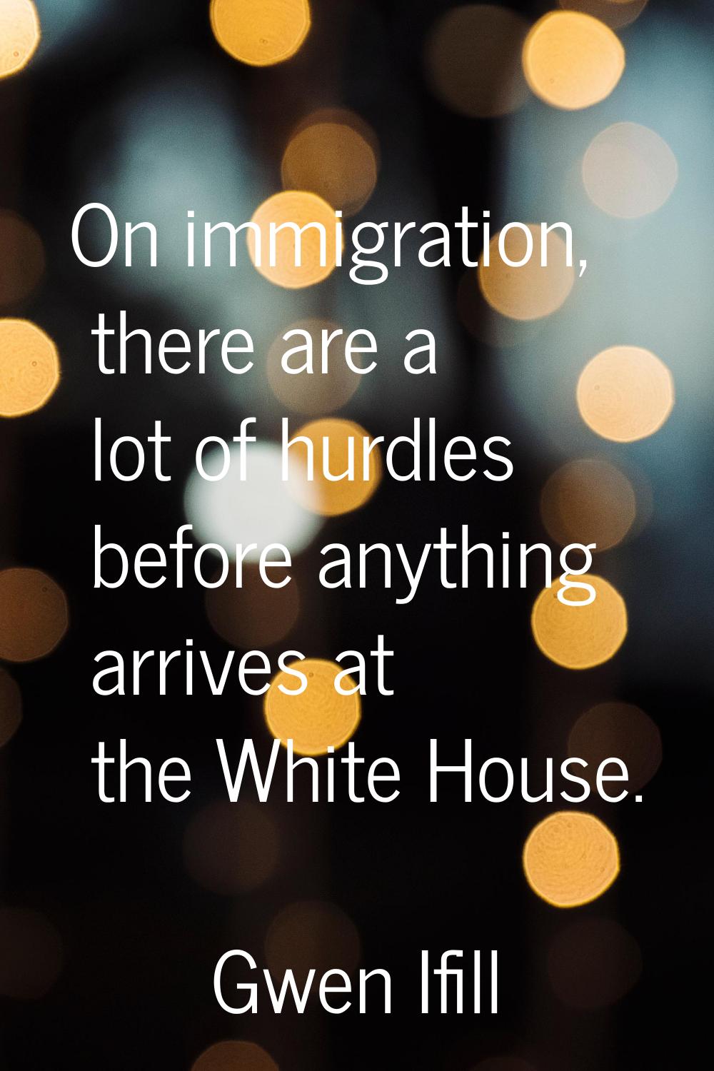 On immigration, there are a lot of hurdles before anything arrives at the White House.