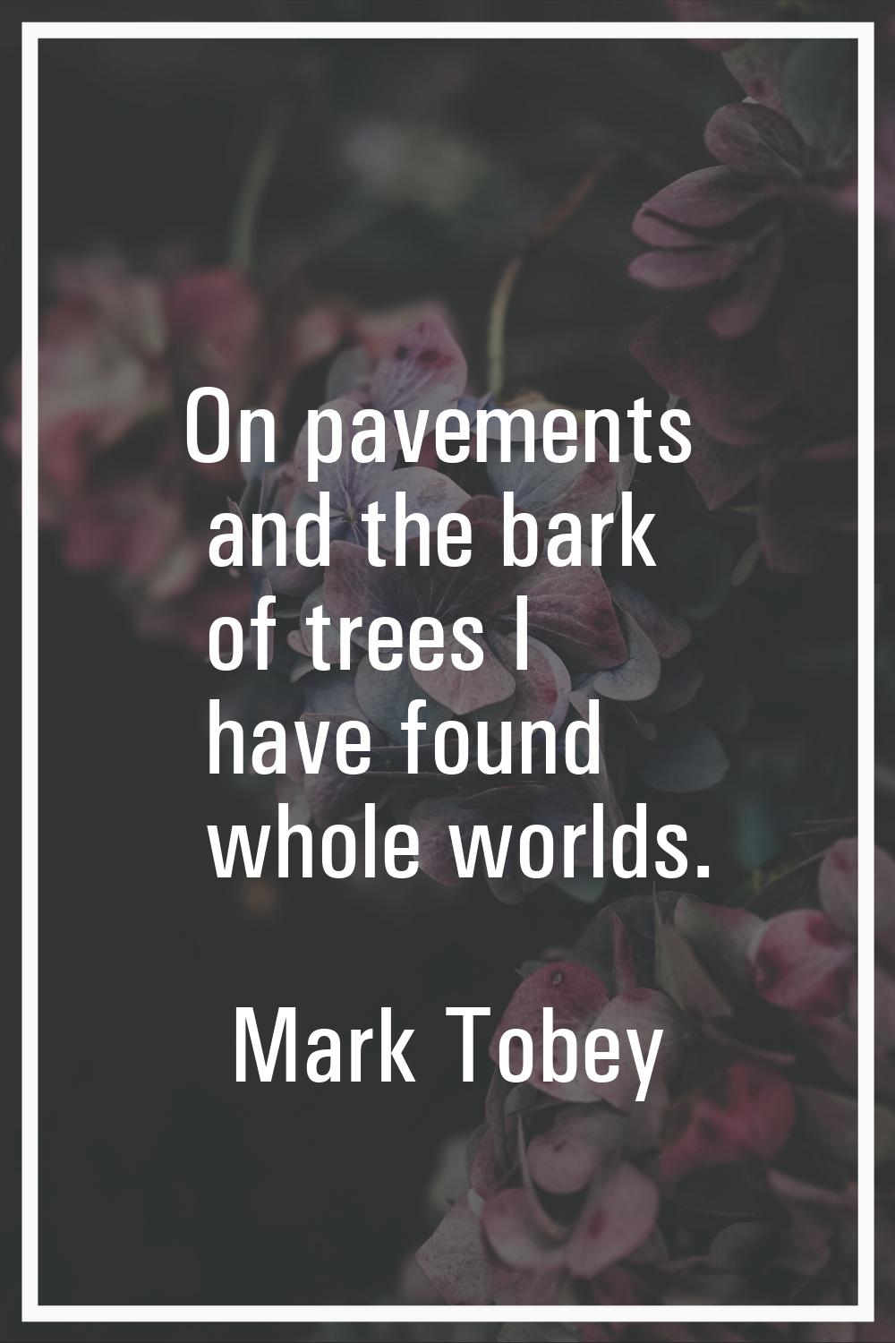 On pavements and the bark of trees I have found whole worlds.