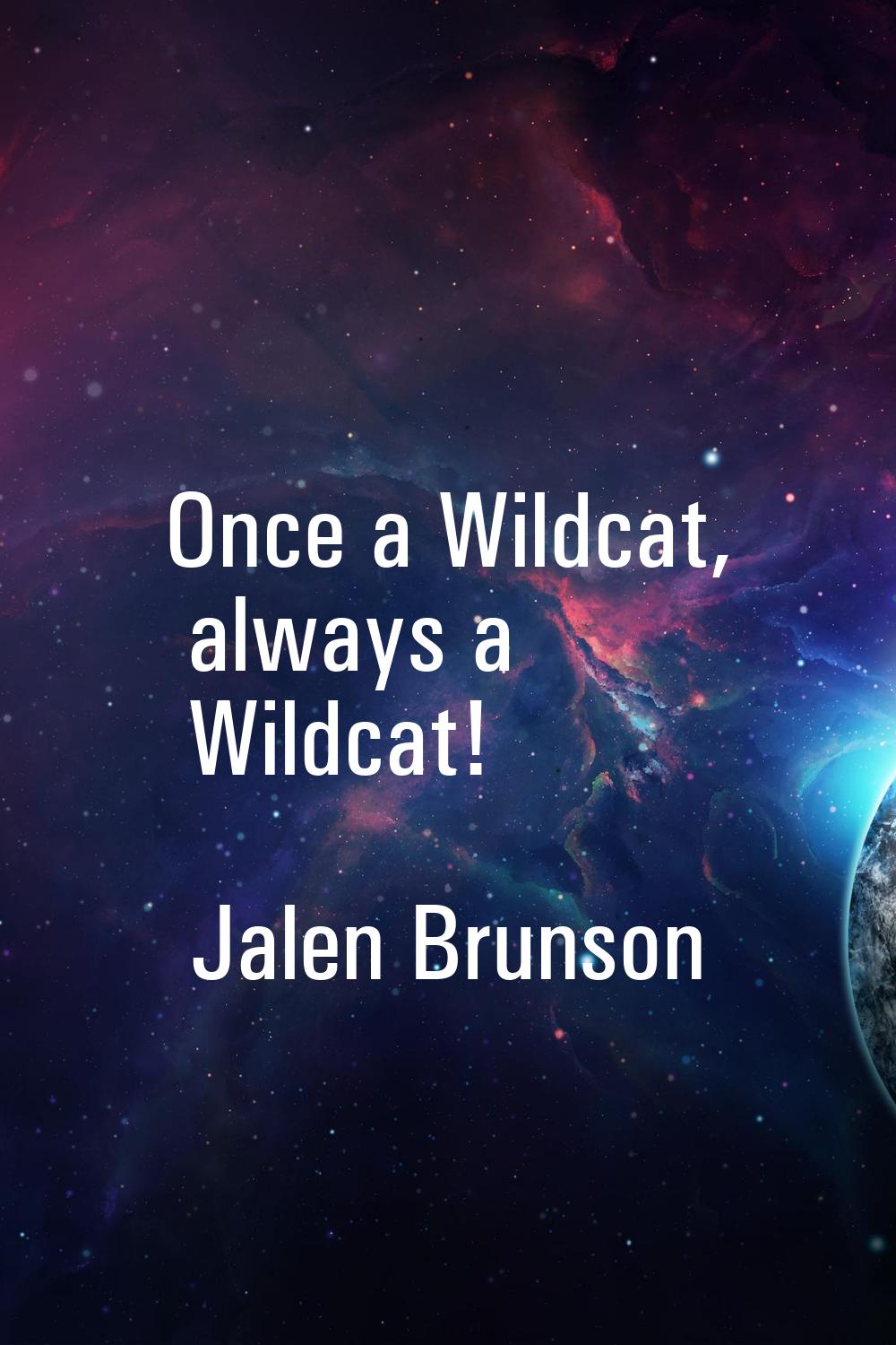 Once a Wildcat, always a Wildcat!