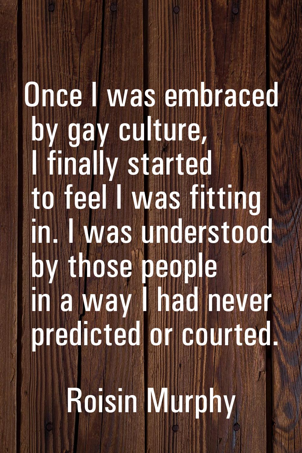 Once I was embraced by gay culture, I finally started to feel I was fitting in. I was understood by