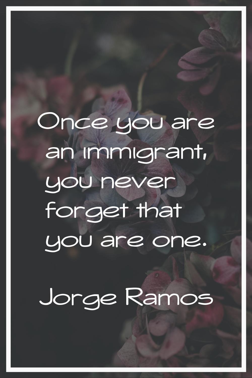 Once you are an immigrant, you never forget that you are one.
