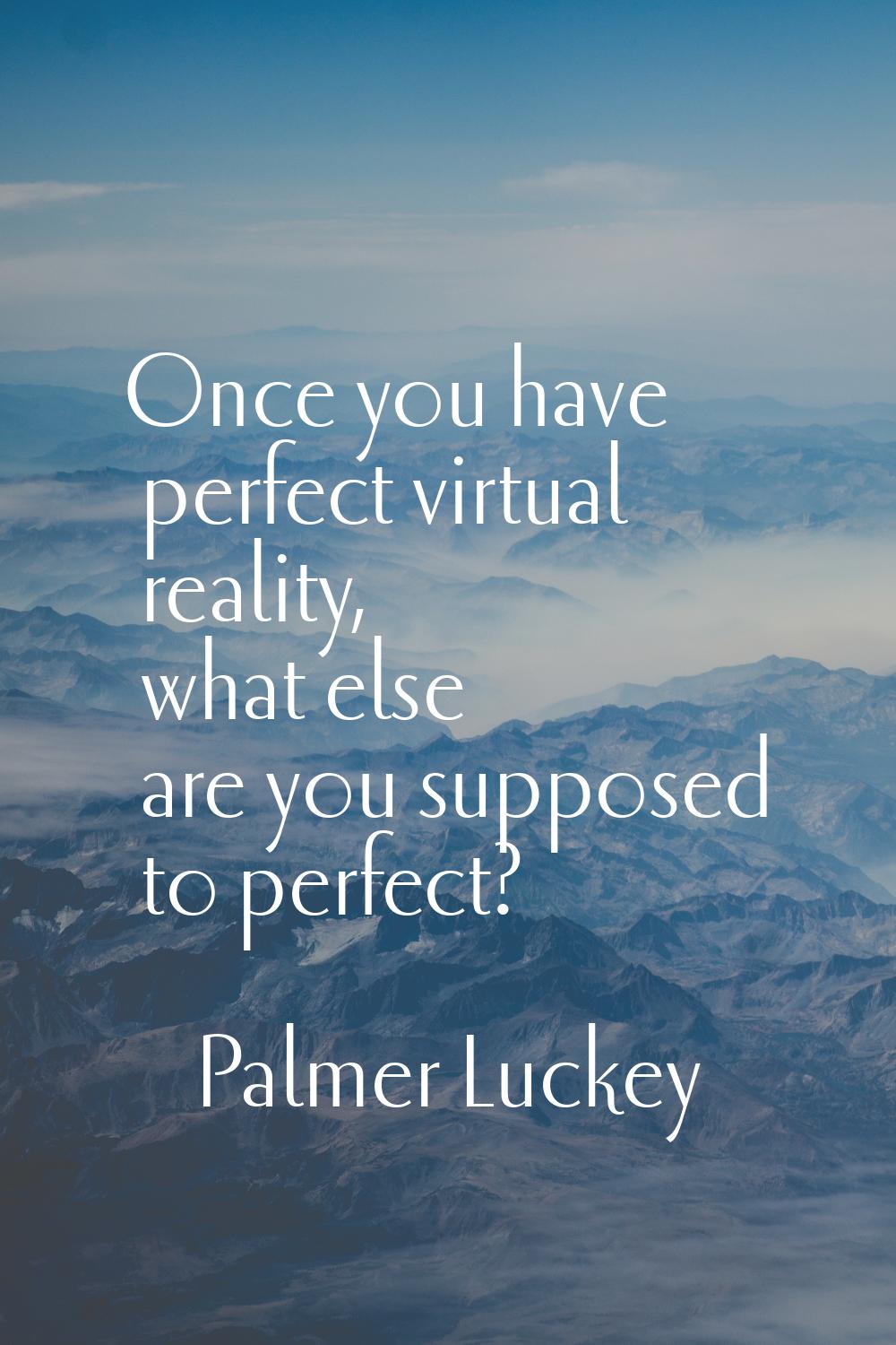 Once you have perfect virtual reality, what else are you supposed to perfect?