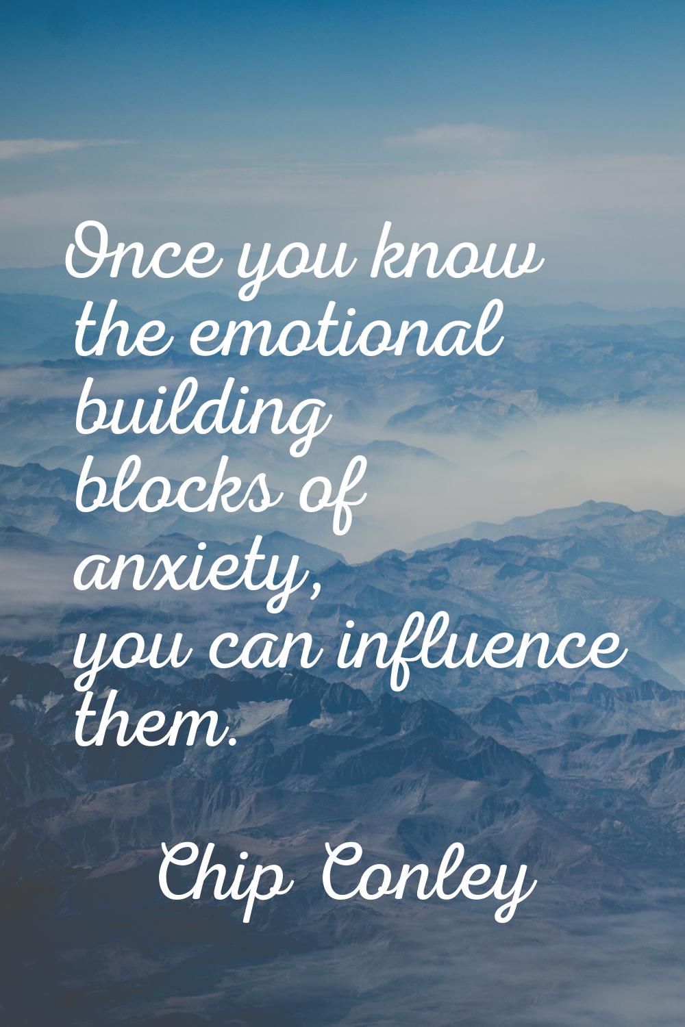 Once you know the emotional building blocks of anxiety, you can influence them.