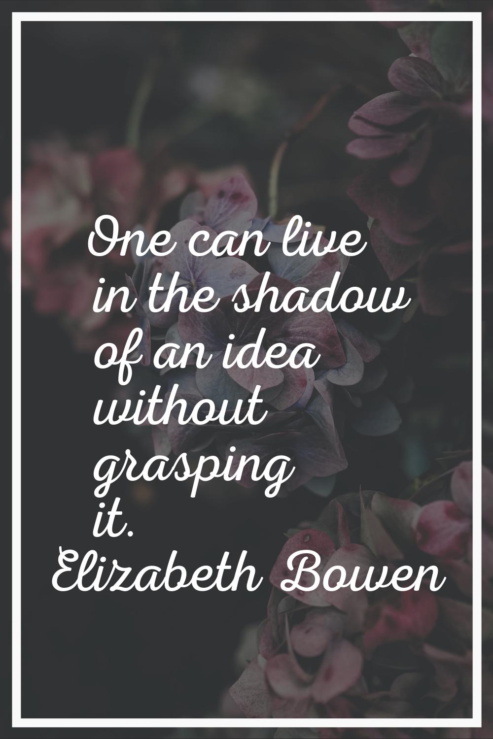 One can live in the shadow of an idea without grasping it.