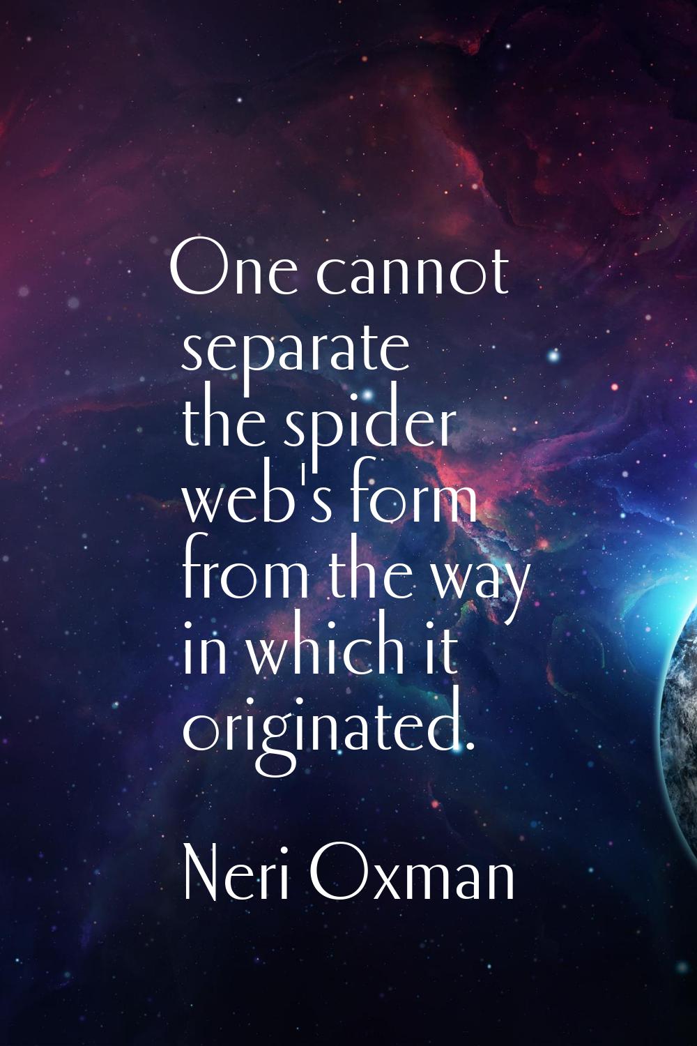 One cannot separate the spider web's form from the way in which it originated.