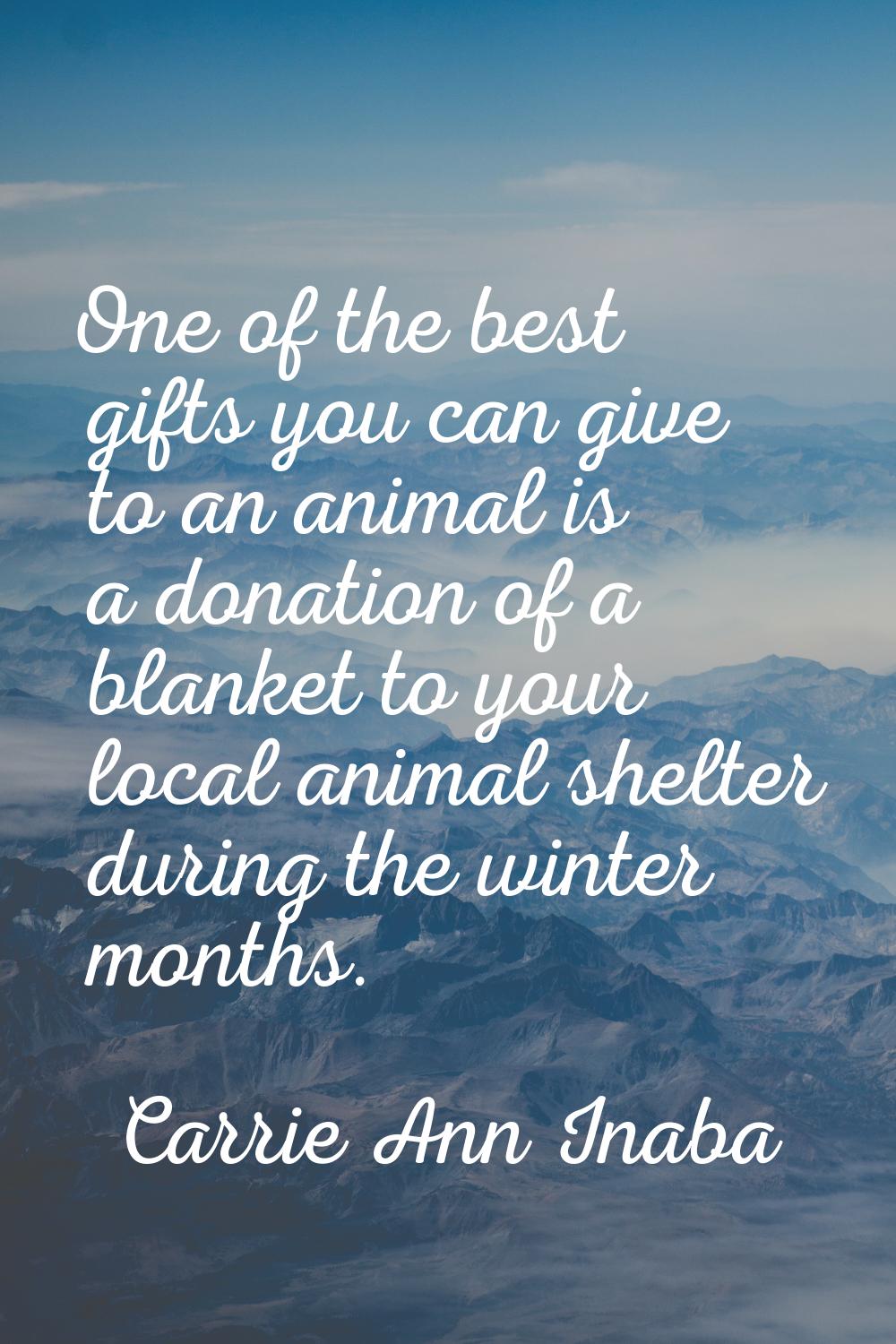 One of the best gifts you can give to an animal is a donation of a blanket to your local animal she