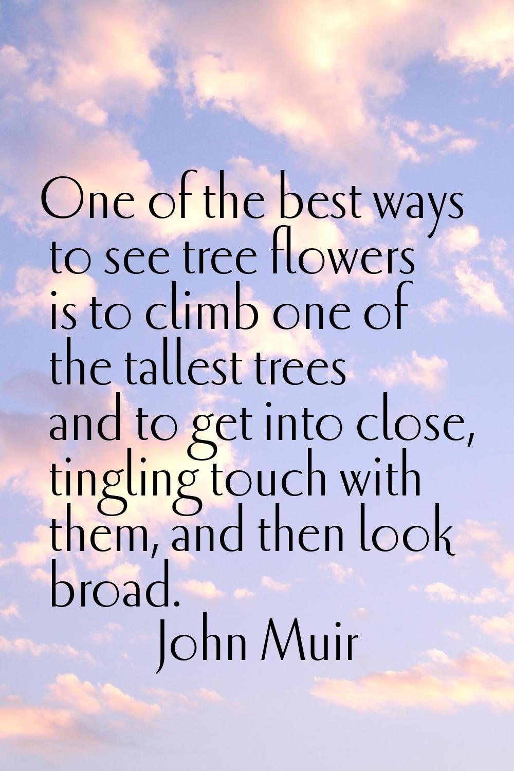 One of the best ways to see tree flowers is to climb one of the tallest trees and to get into close