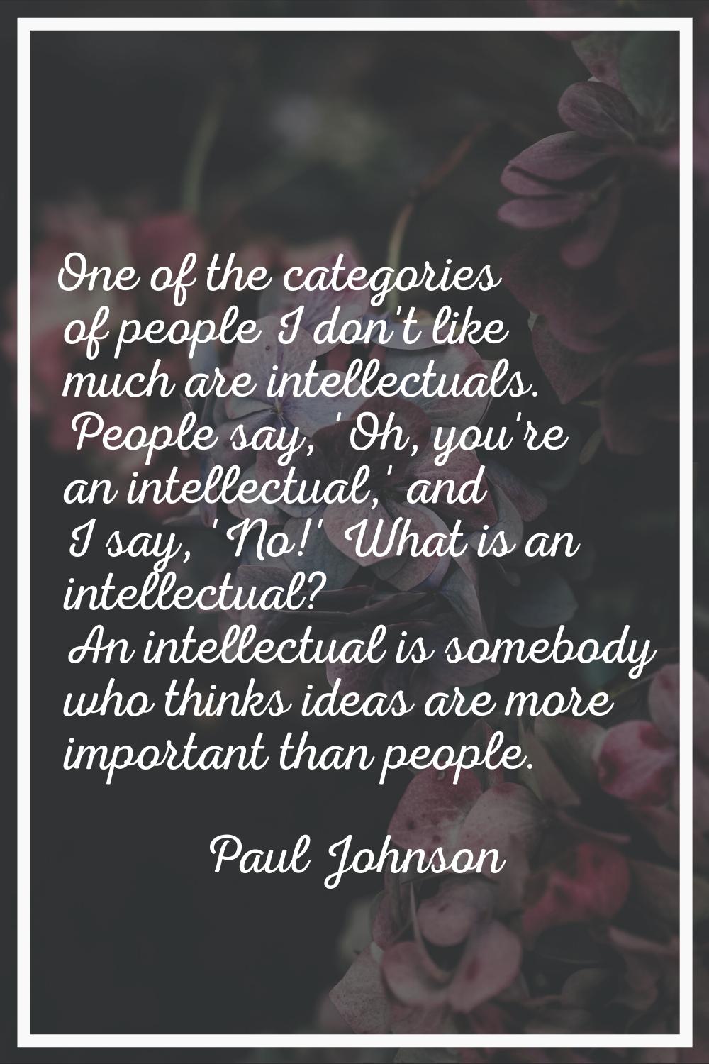 One of the categories of people I don't like much are intellectuals. People say, 'Oh, you're an int