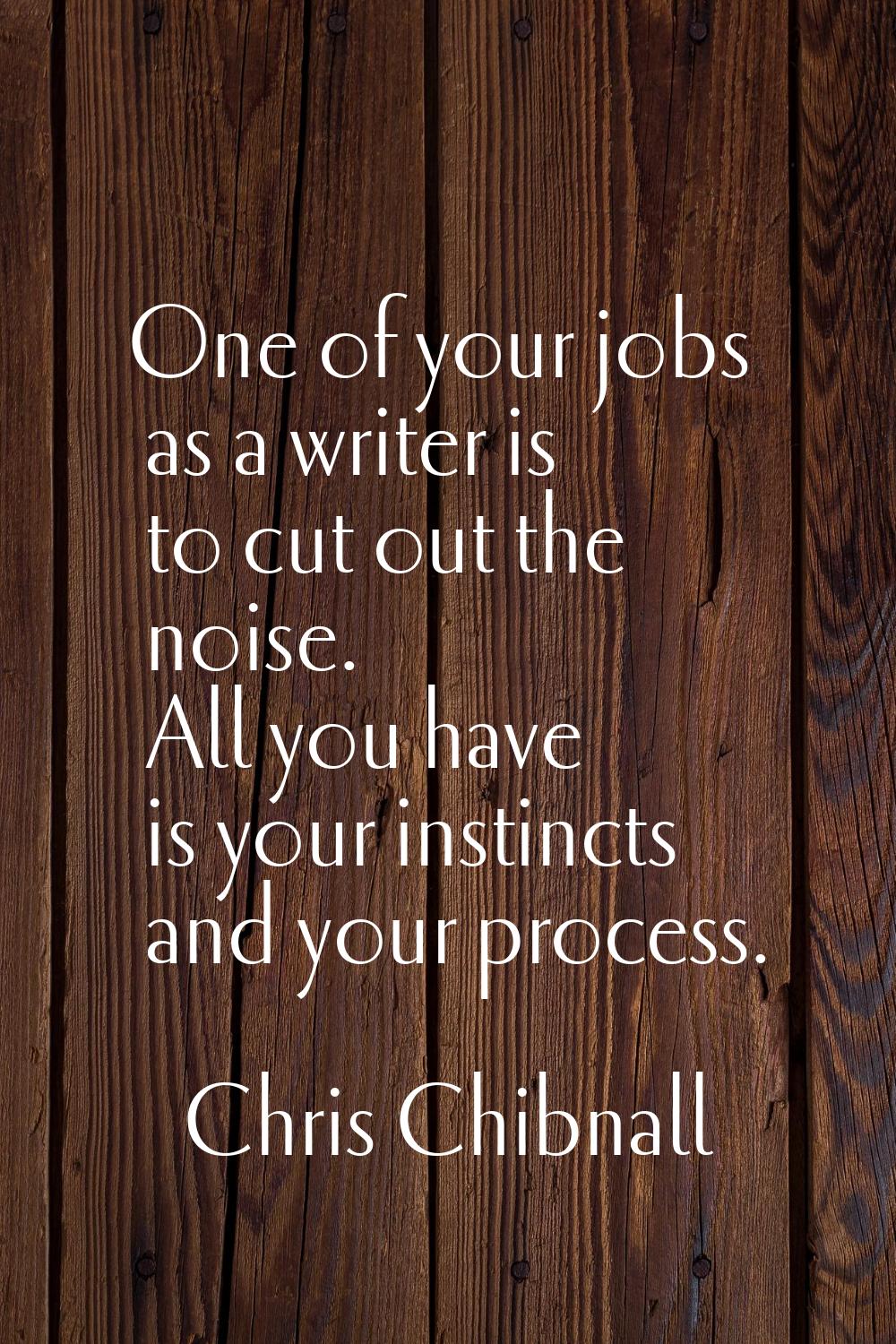 One of your jobs as a writer is to cut out the noise. All you have is your instincts and your proce