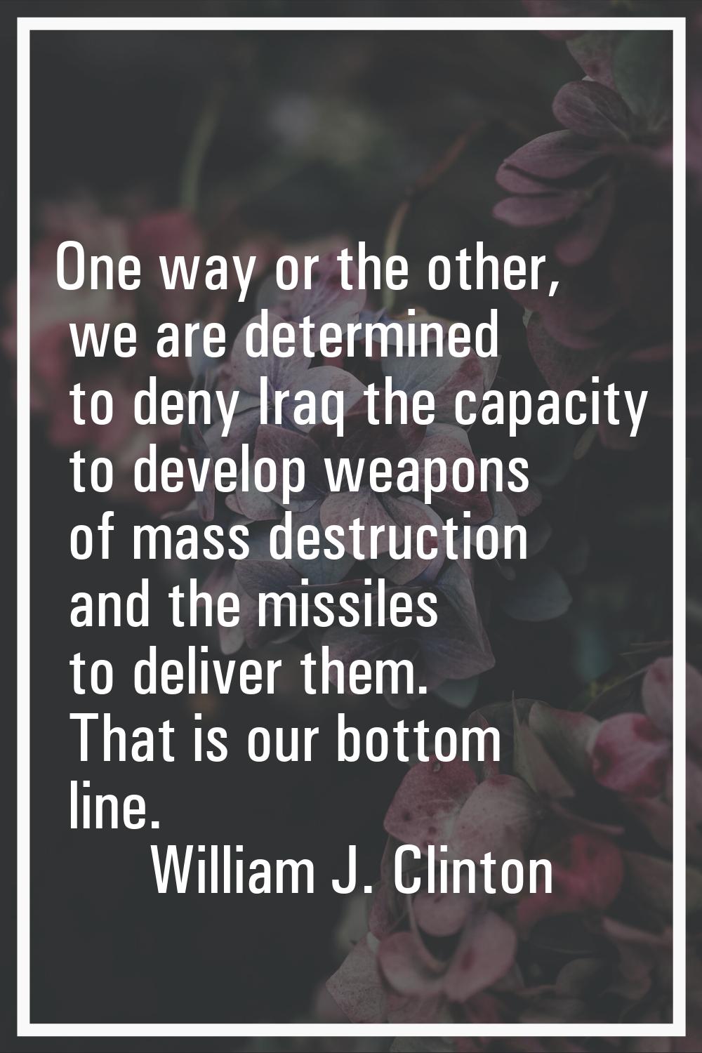 One way or the other, we are determined to deny Iraq the capacity to develop weapons of mass destru