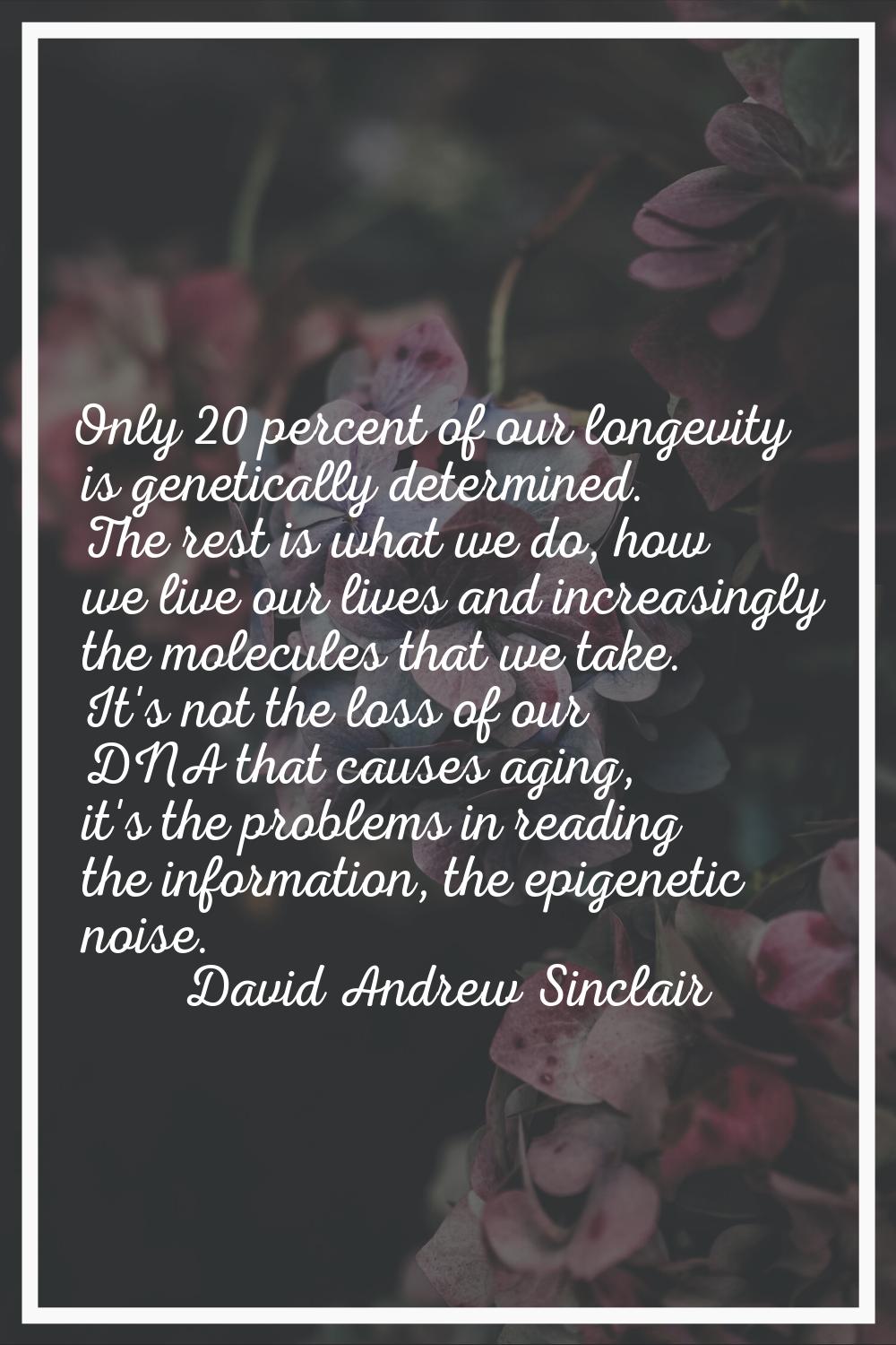 Only 20 percent of our longevity is genetically determined. The rest is what we do, how we live our