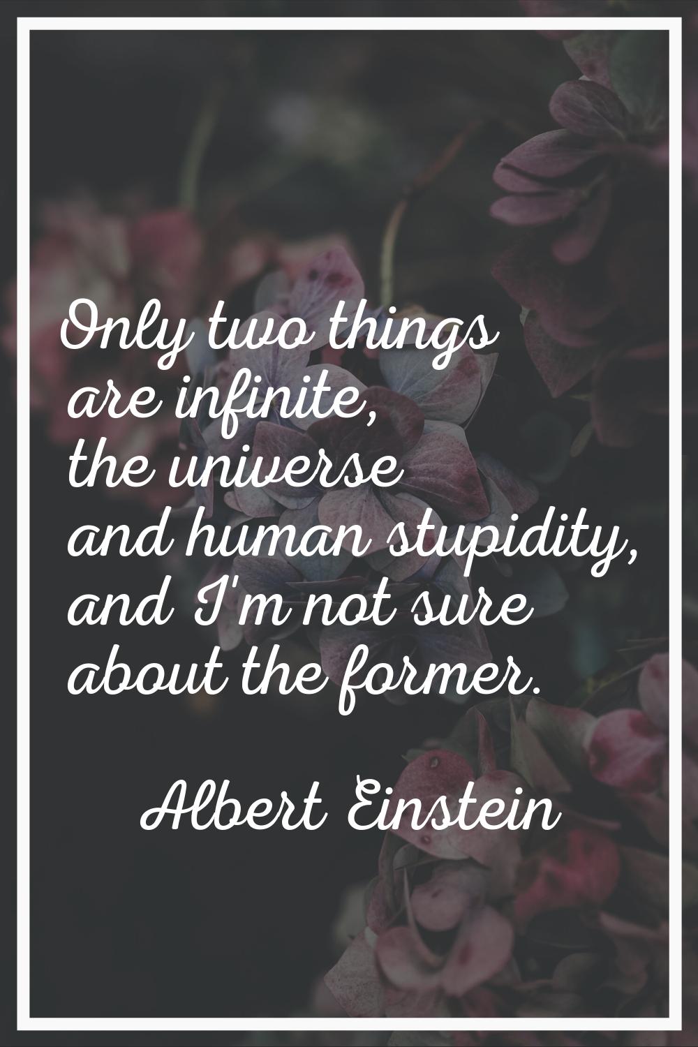 Only two things are infinite, the universe and human stupidity, and I'm not sure about the former.