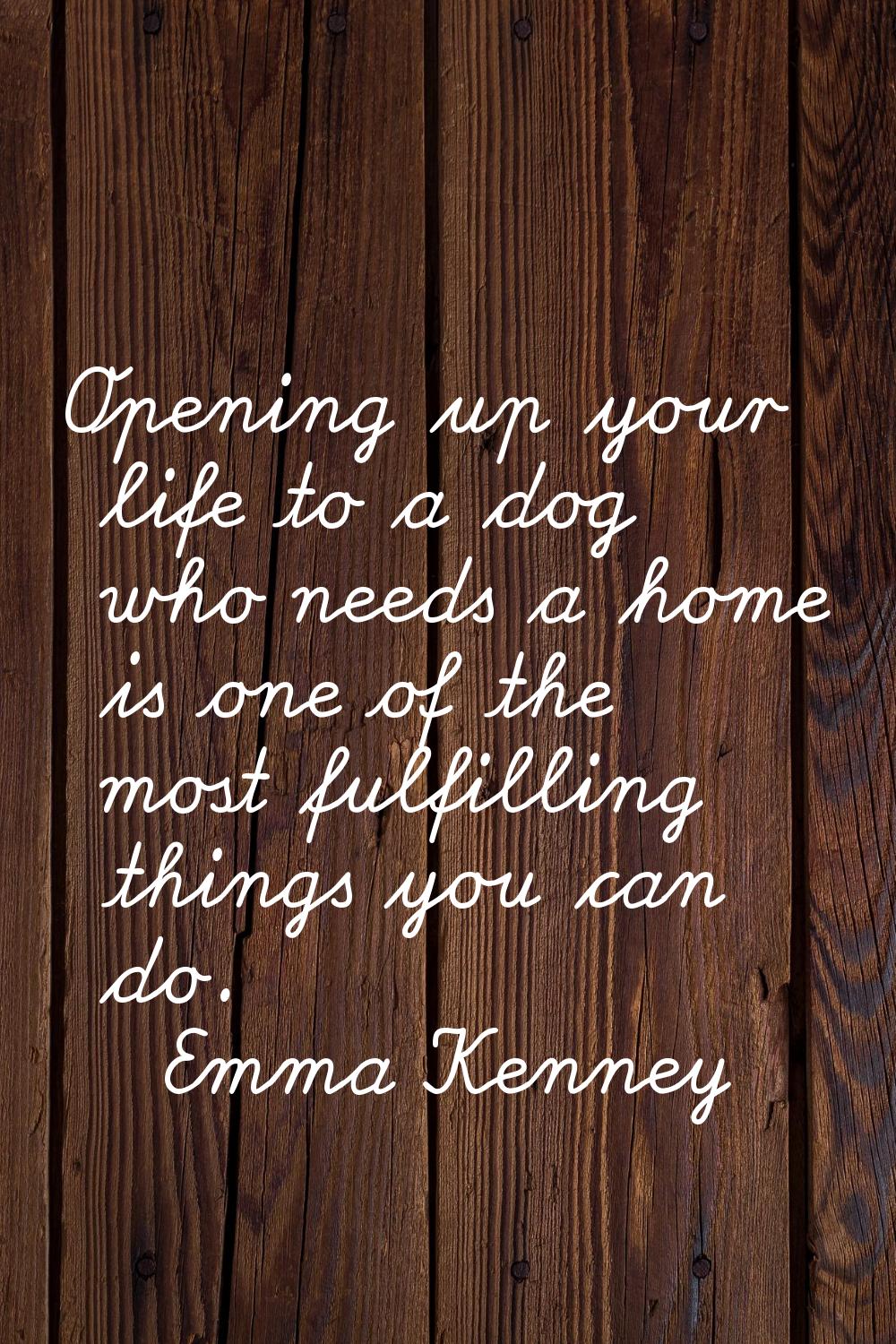 Opening up your life to a dog who needs a home is one of the most fulfilling things you can do.