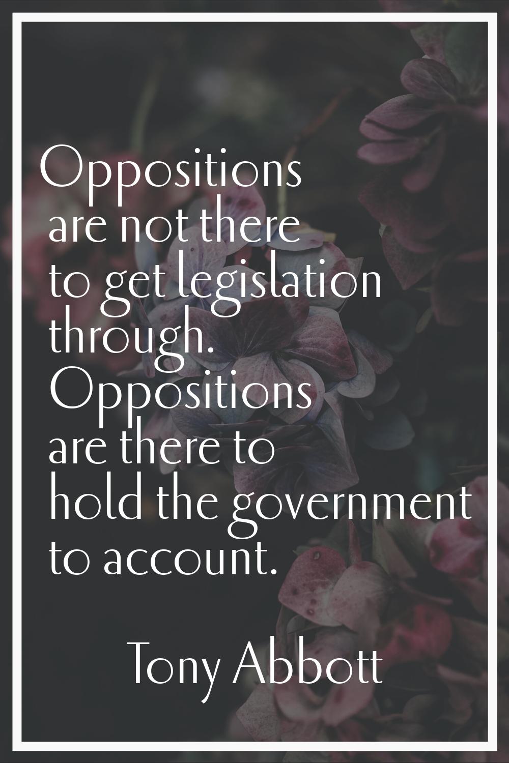 Oppositions are not there to get legislation through. Oppositions are there to hold the government 